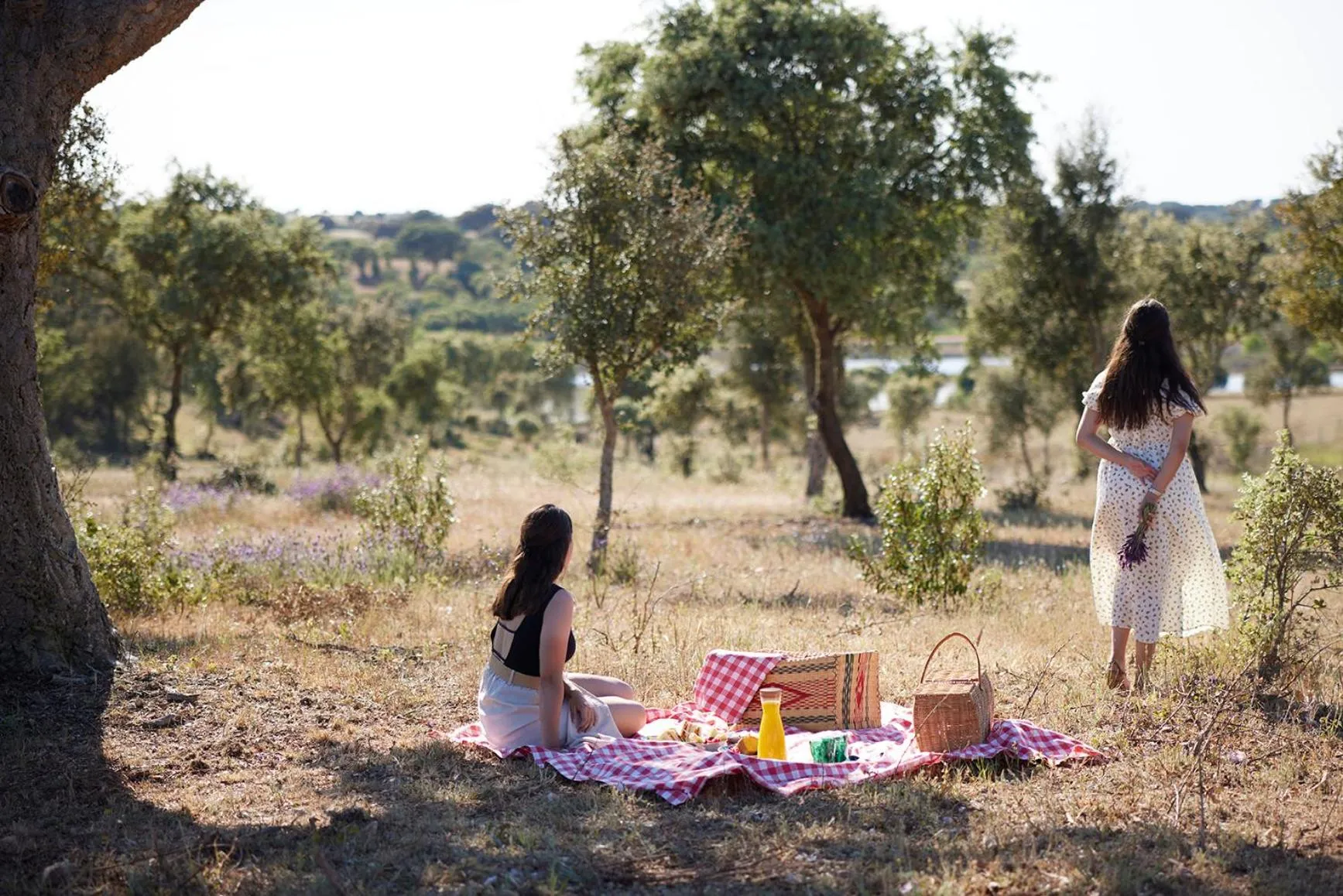 Activities in Octant Evora