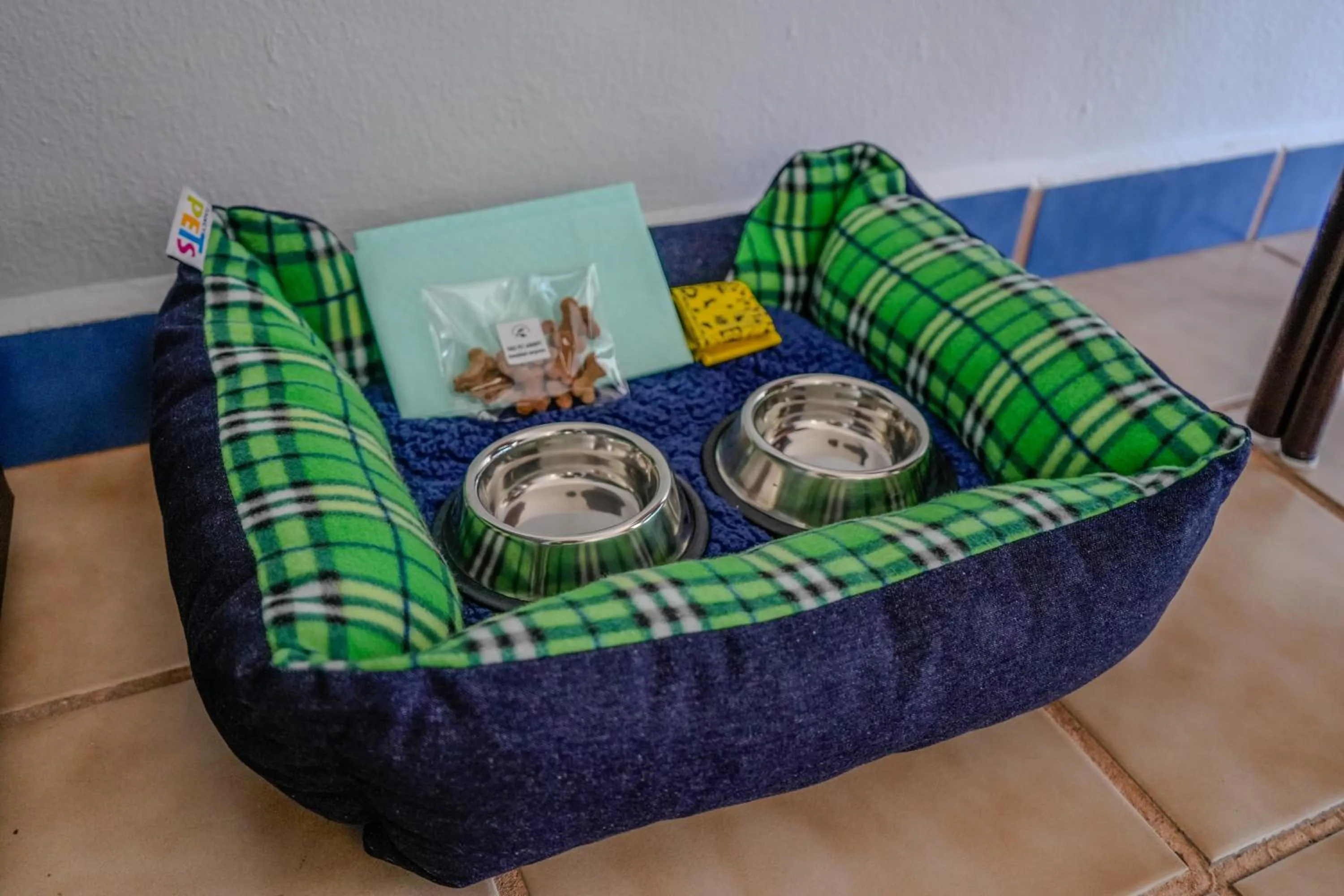 pet friendly in Cozumel Hotel & Resort All Inclusive