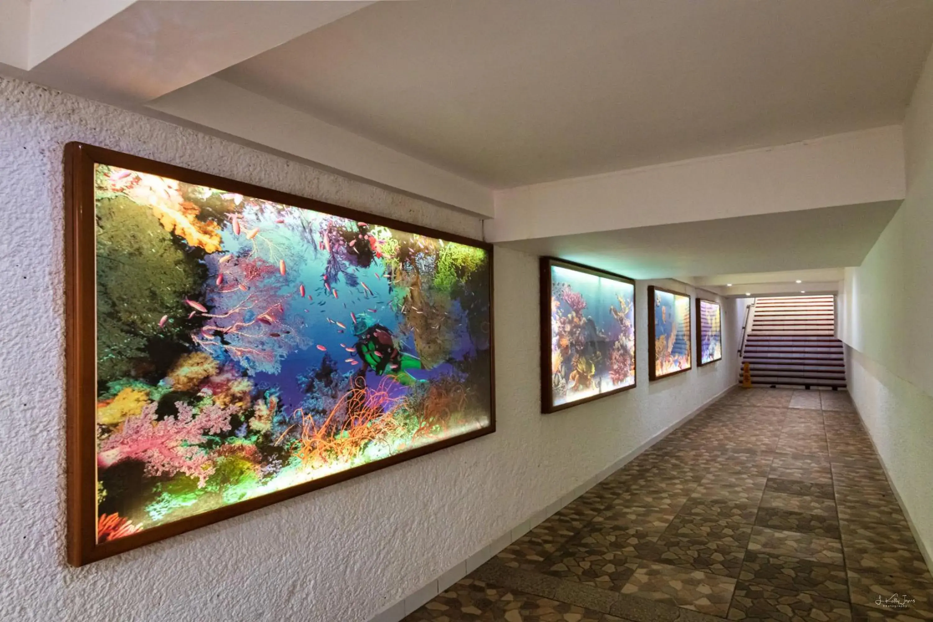 Property building in Cozumel Hotel & Resort All Inclusive Property building in Cozumel Hotel & Resort All Inclusive