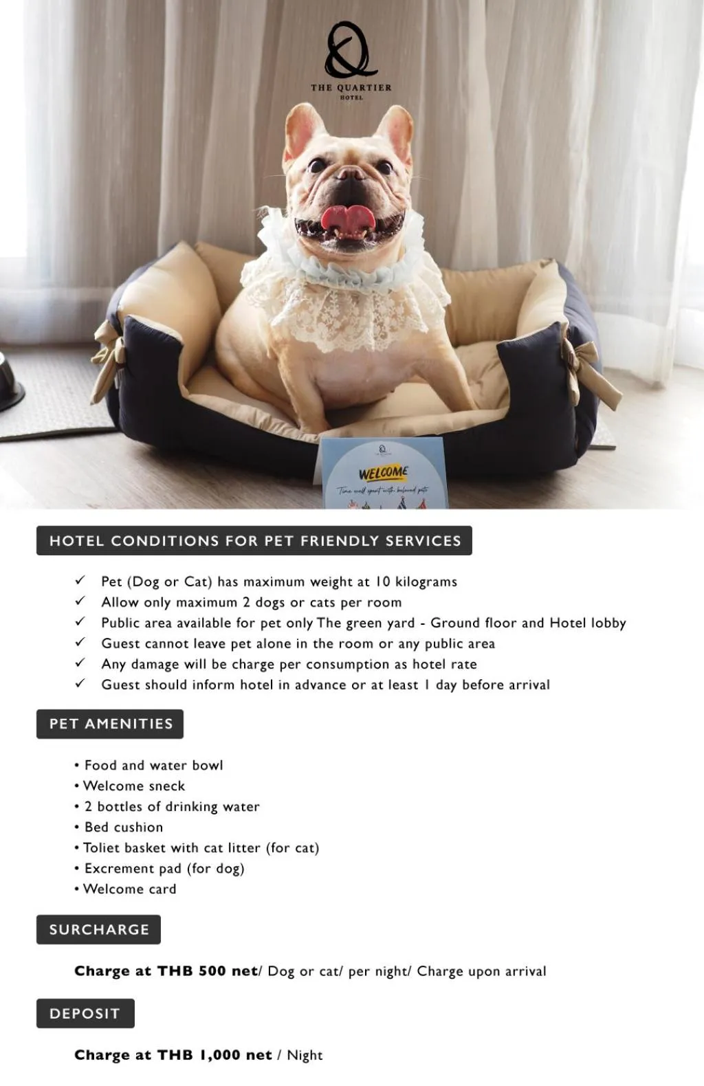 pet friendly in The Quartier Hotel Phromphong - Thonglor