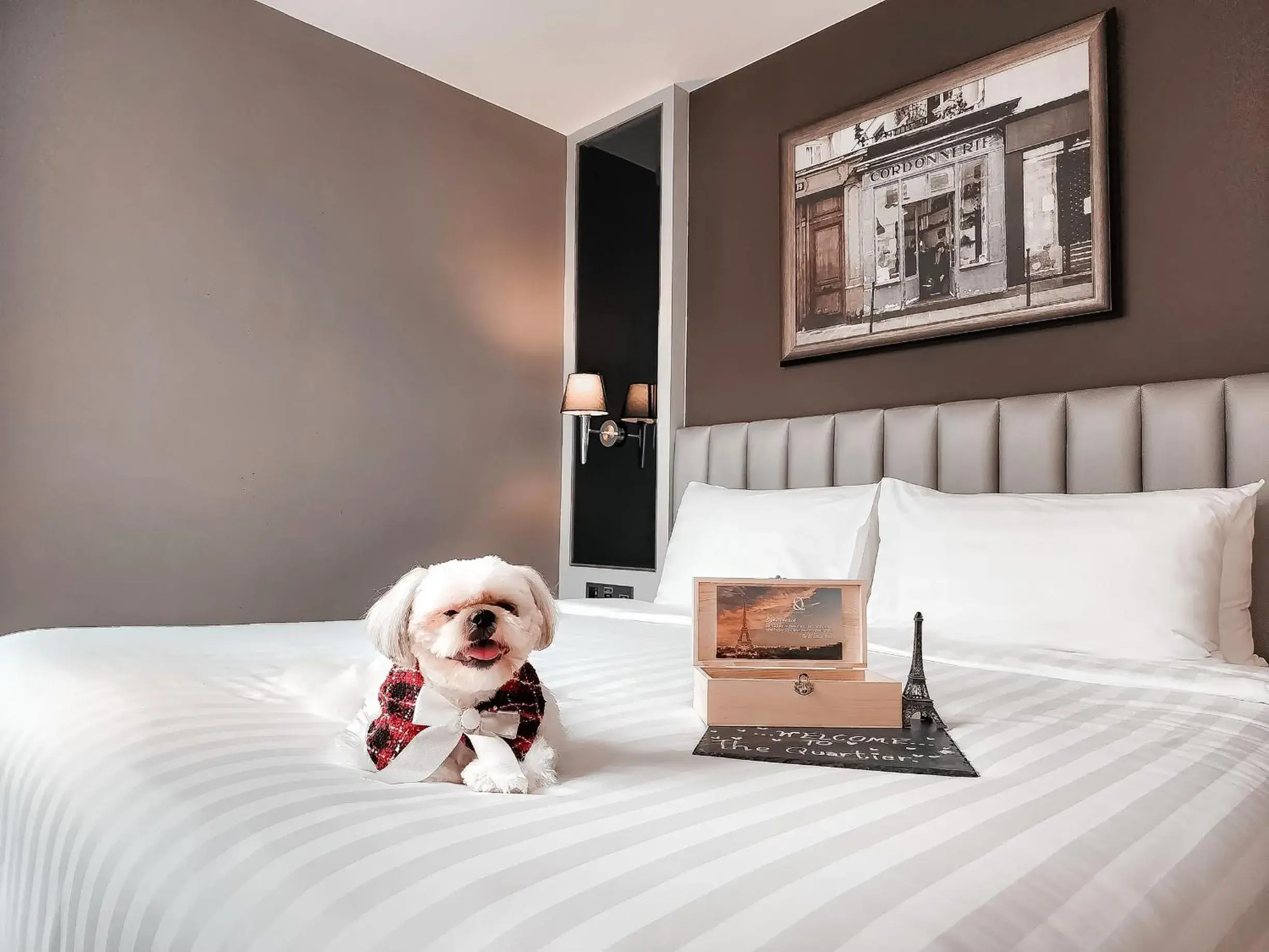 pet friendly, Bed in The Quartier Hotel Phromphong - Thonglor pet friendly, Bed in The Quartier Hotel Phromphong - Thonglor