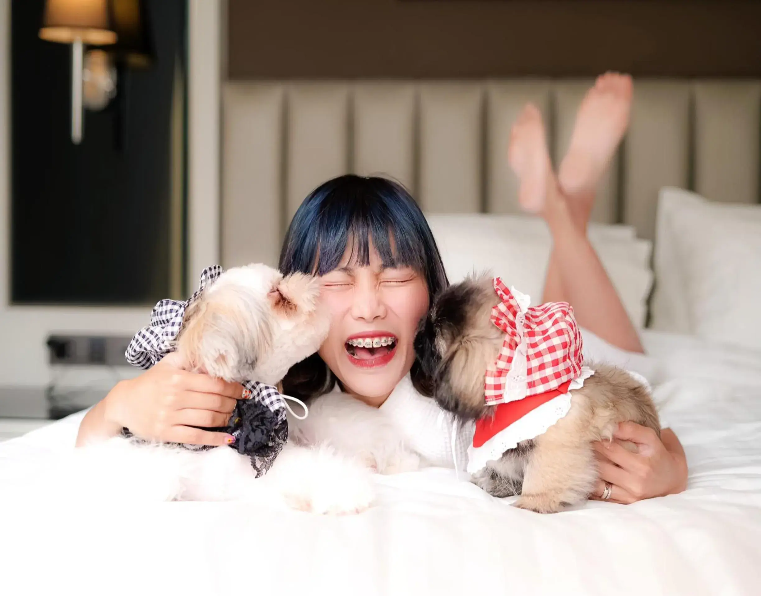 pet friendly, Bed in The Quartier Hotel Phromphong - Thonglor pet friendly, Bed in The Quartier Hotel Phromphong - Thonglor