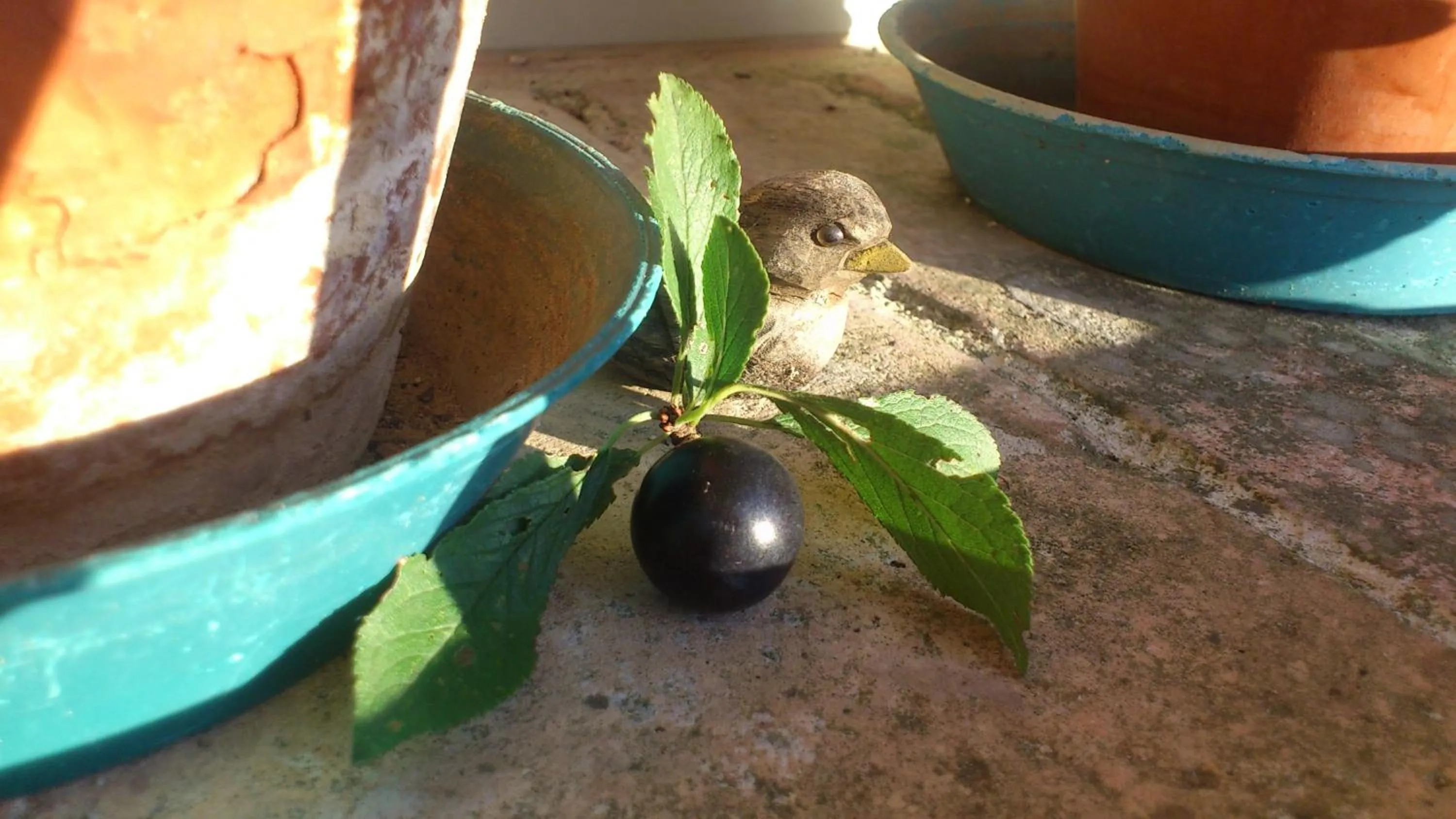 Other in Poggio Dei Prugnoli