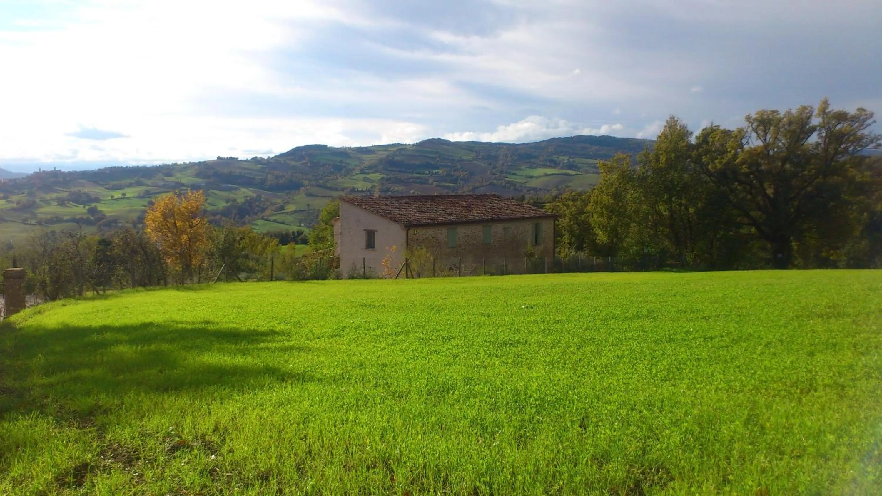 Area and facilities in Poggio Dei Prugnoli