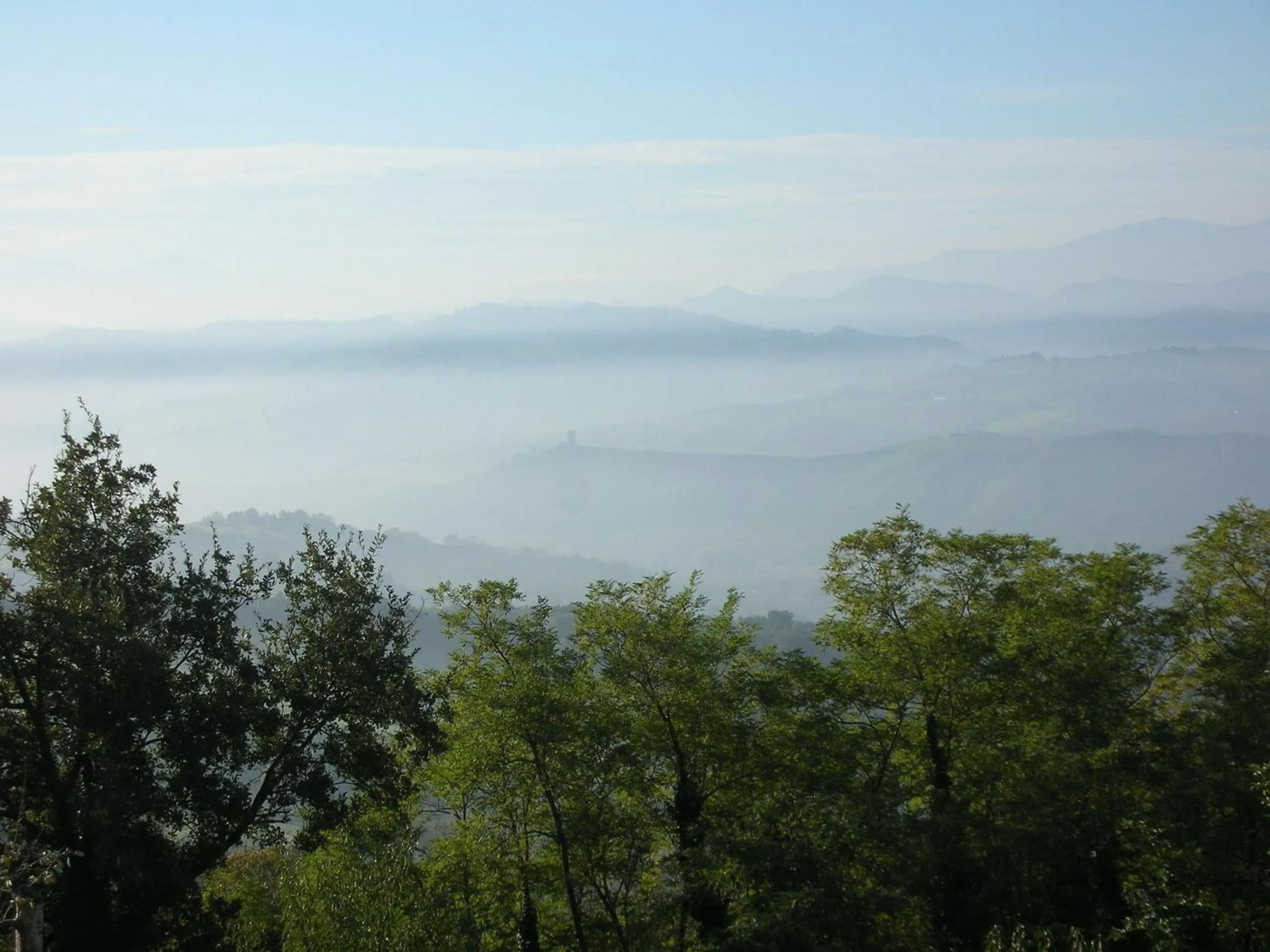 View (from property/room) in Poggio Dei Prugnoli