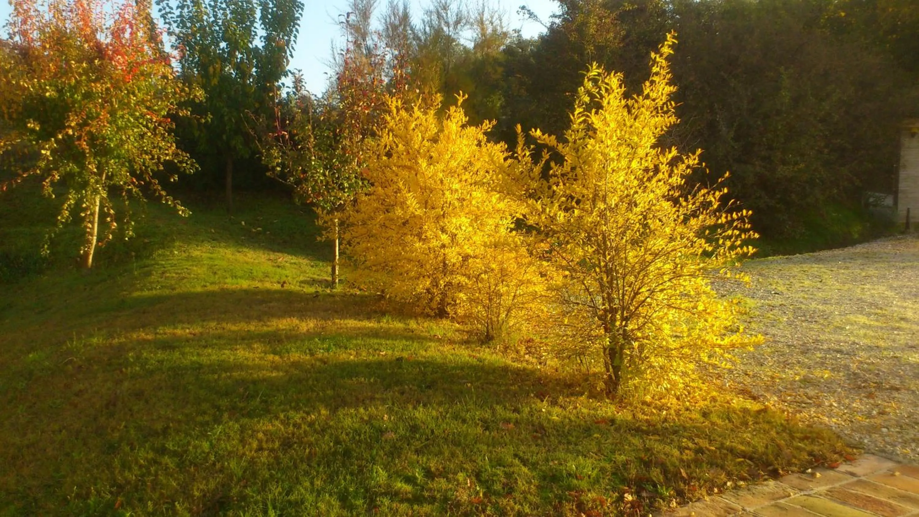 Garden view in Poggio Dei Prugnoli