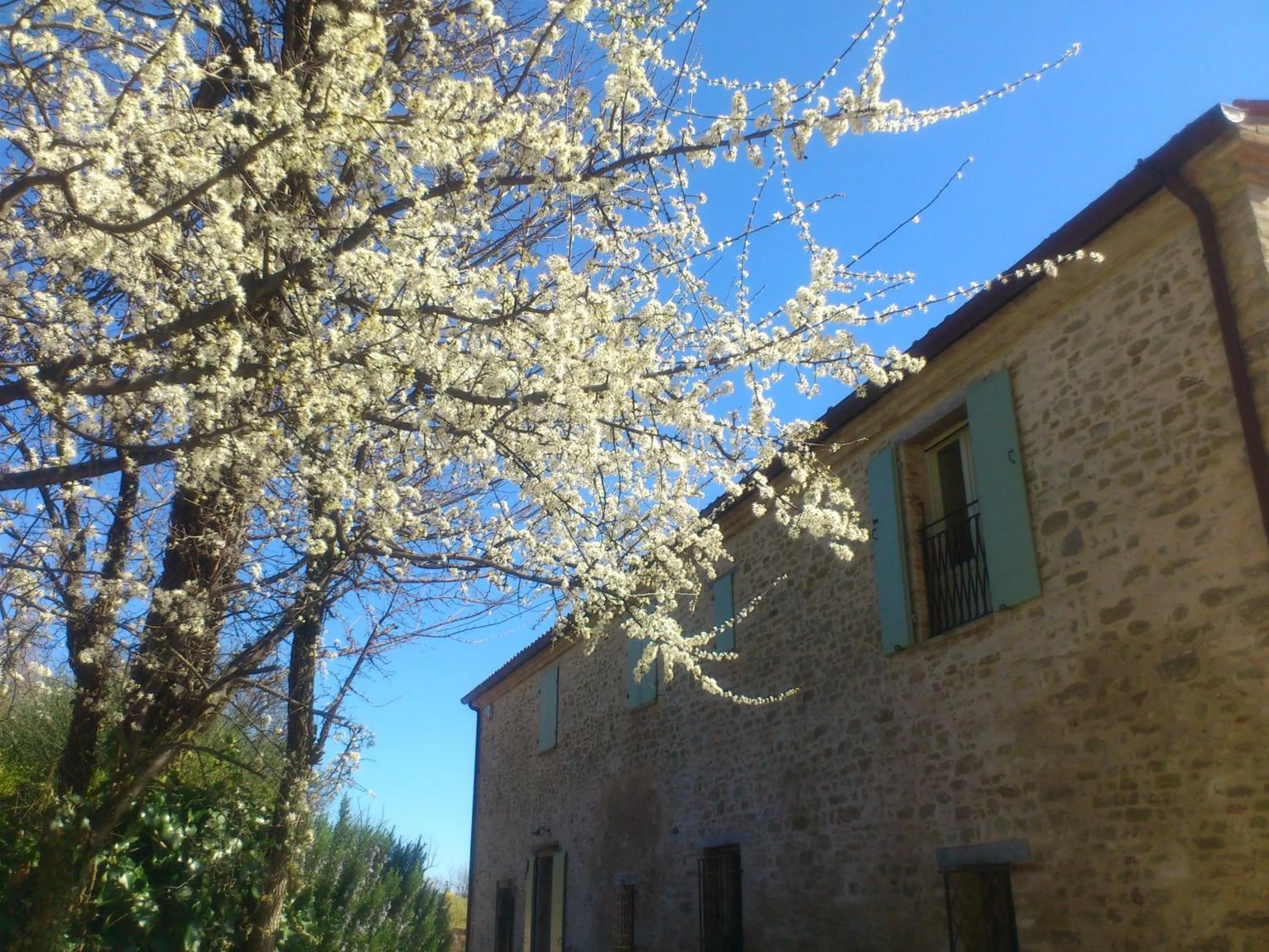 Property building in Poggio Dei Prugnoli