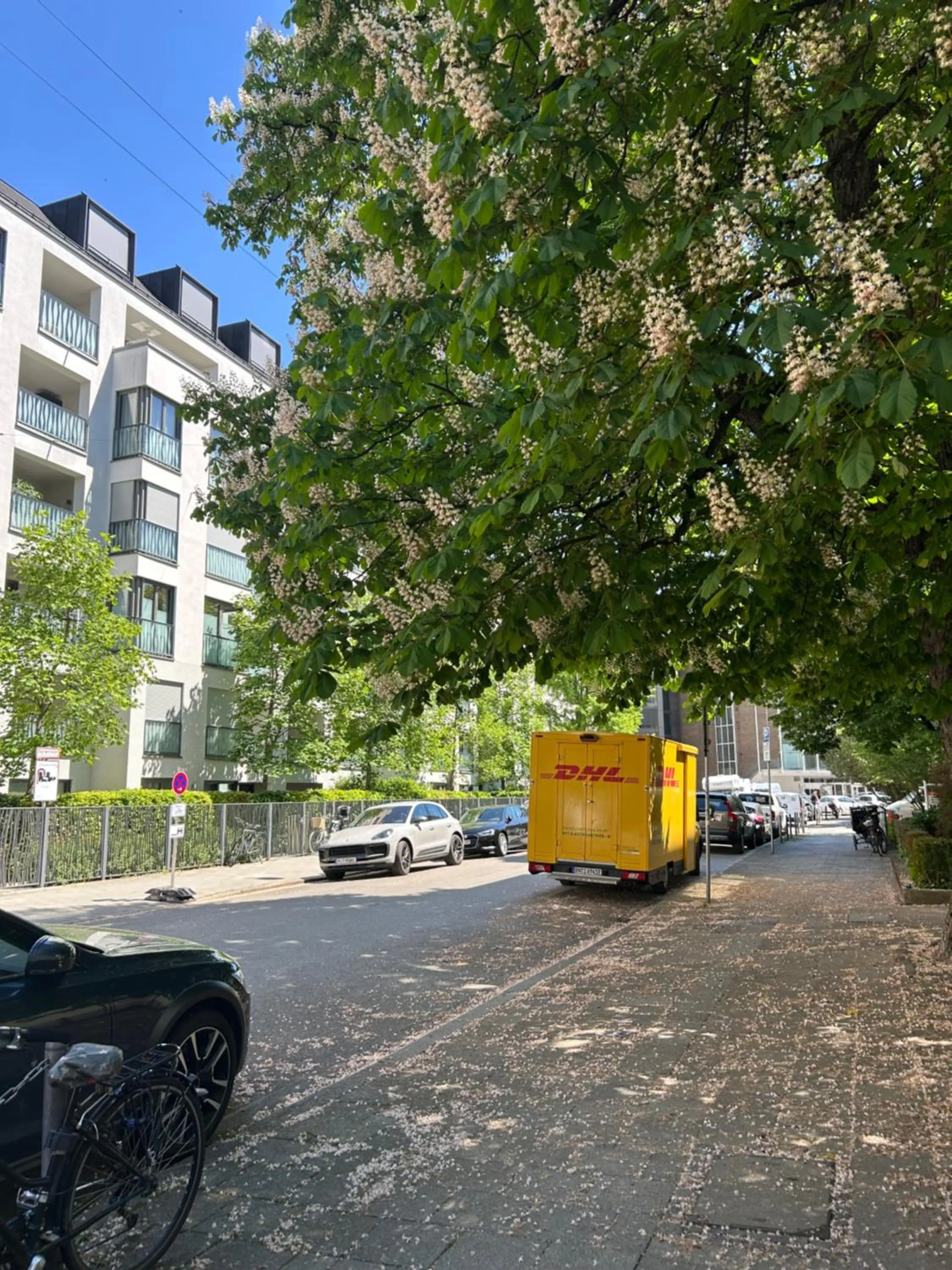 Other in Hotel Pension Haydn