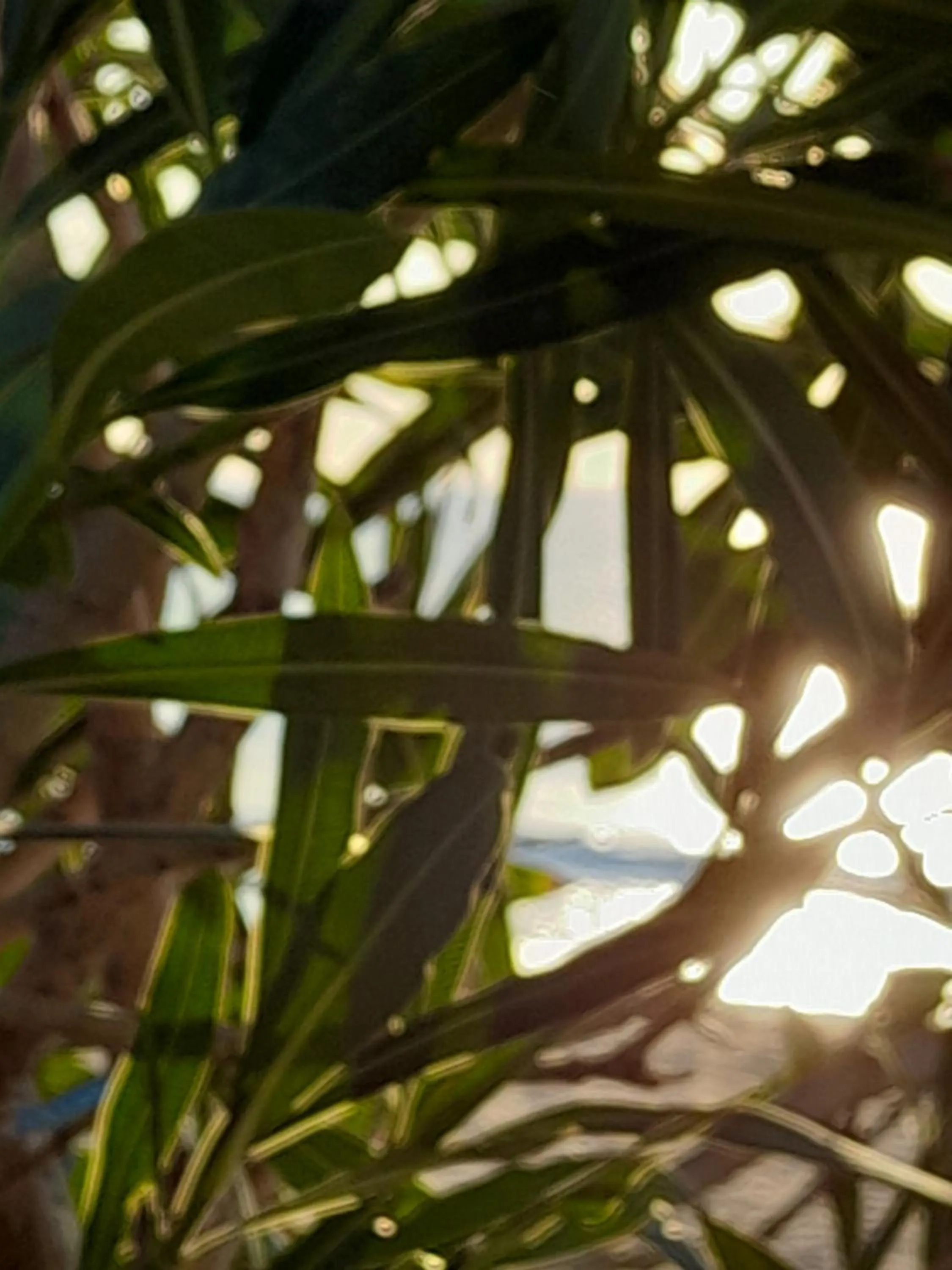 Natural landscape in Luna Piena Hotel