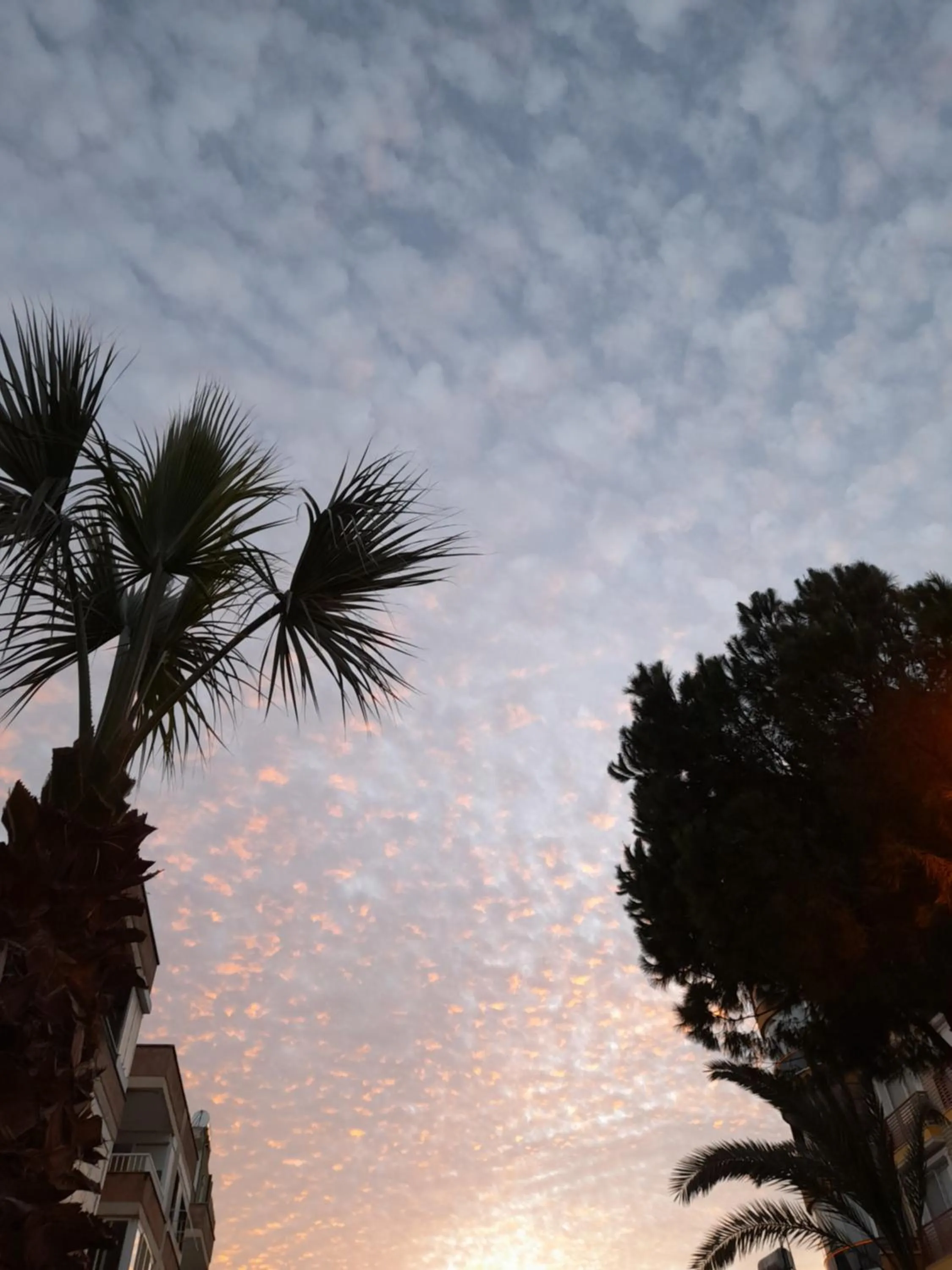 Natural landscape in Luna Piena Hotel