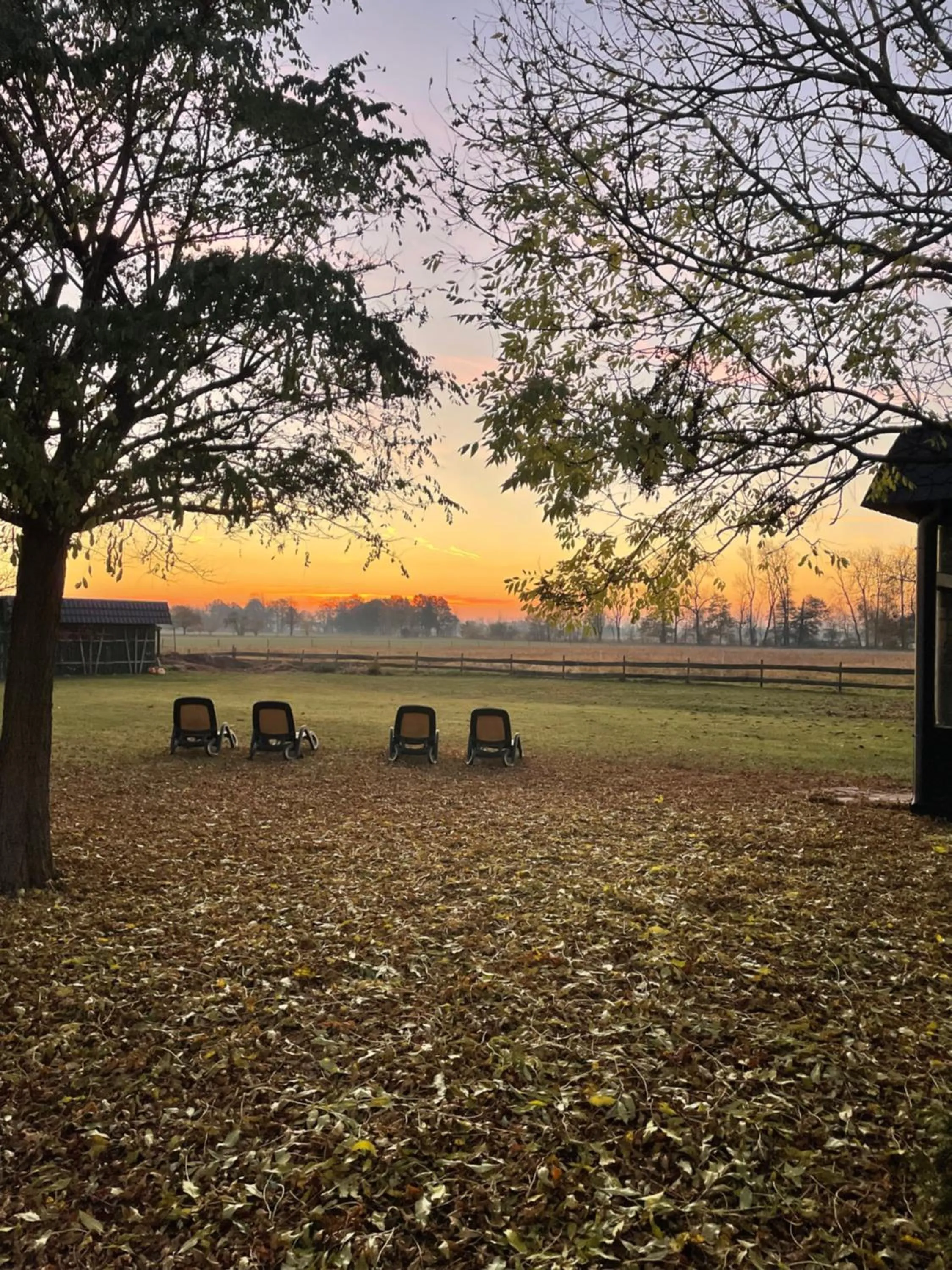 Spa and wellness centre/facilities in Christinenhof & Spa - Wellnesshotel am Rande des Spreewalds