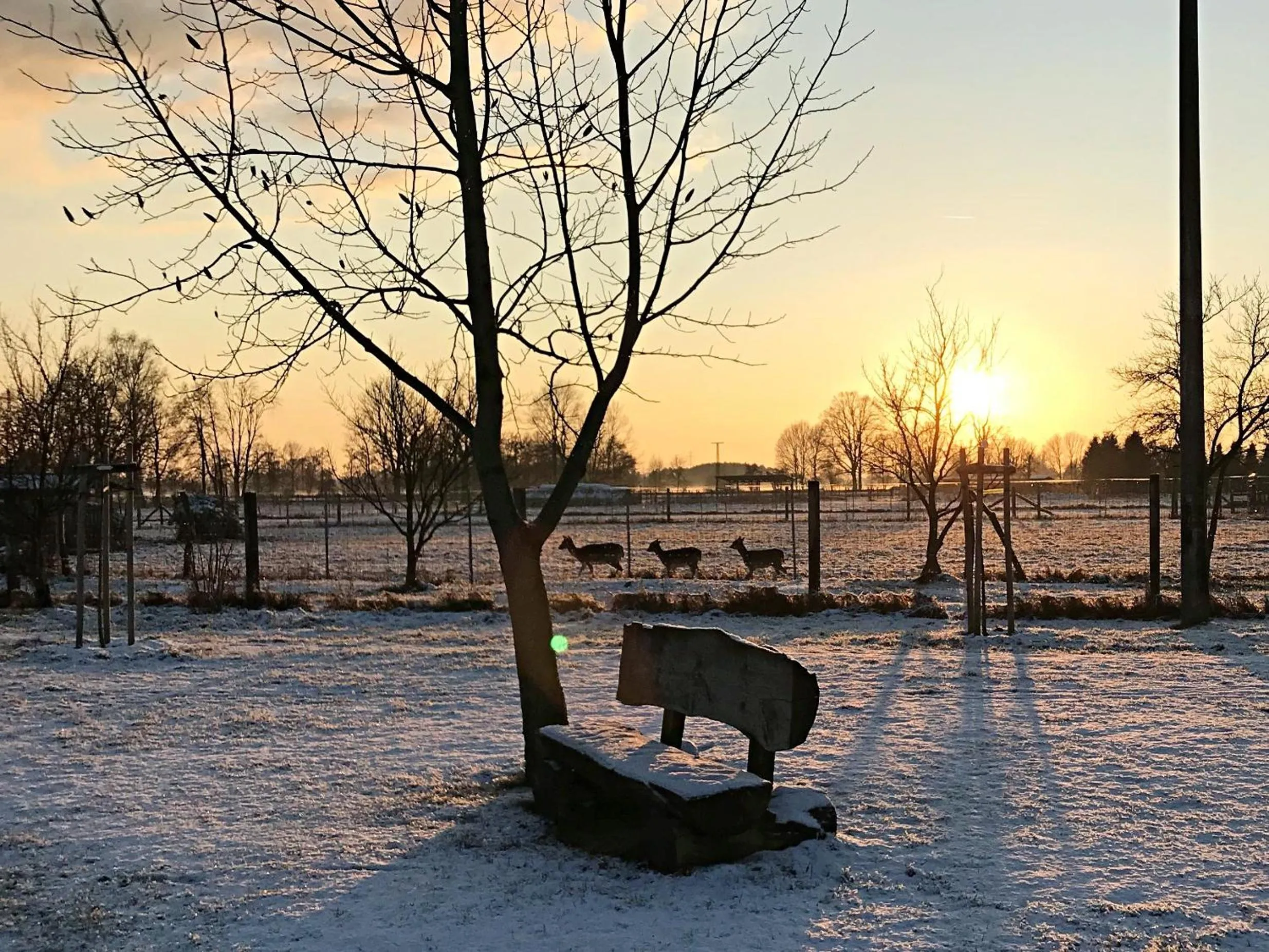 Natural landscape in Christinenhof & Spa - Wellnesshotel am Rande des Spreewalds