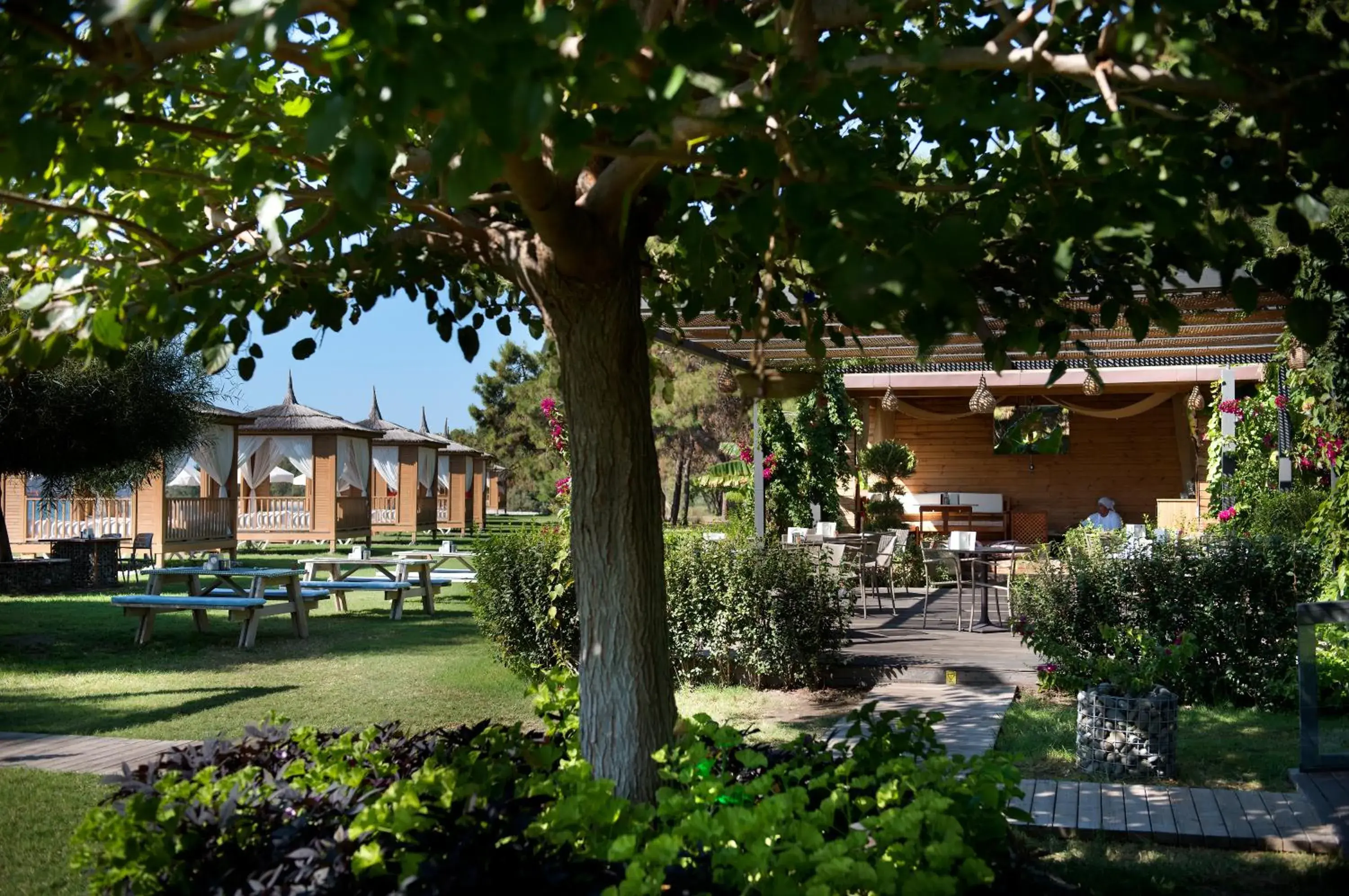 Restaurant/places to eat in Akra Fethiye Tui Blue Sensatori - Ultra All Inclusive Restaurant/places to eat in Akra Fethiye Tui Blue Sensatori - Ultra All Inclusive