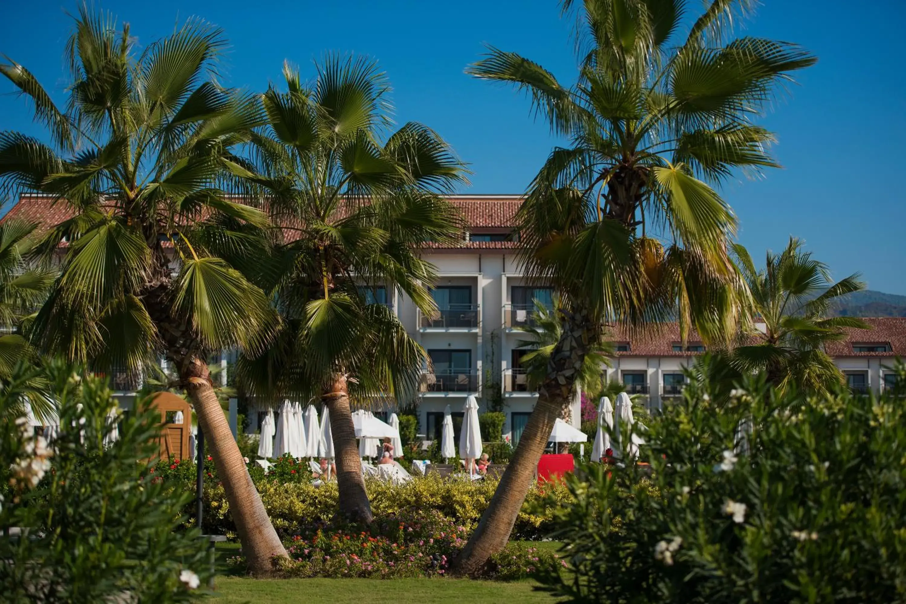 Property building in Akra Fethiye Tui Blue Sensatori - Ultra All Inclusive Property building in Akra Fethiye Tui Blue Sensatori - Ultra All Inclusive