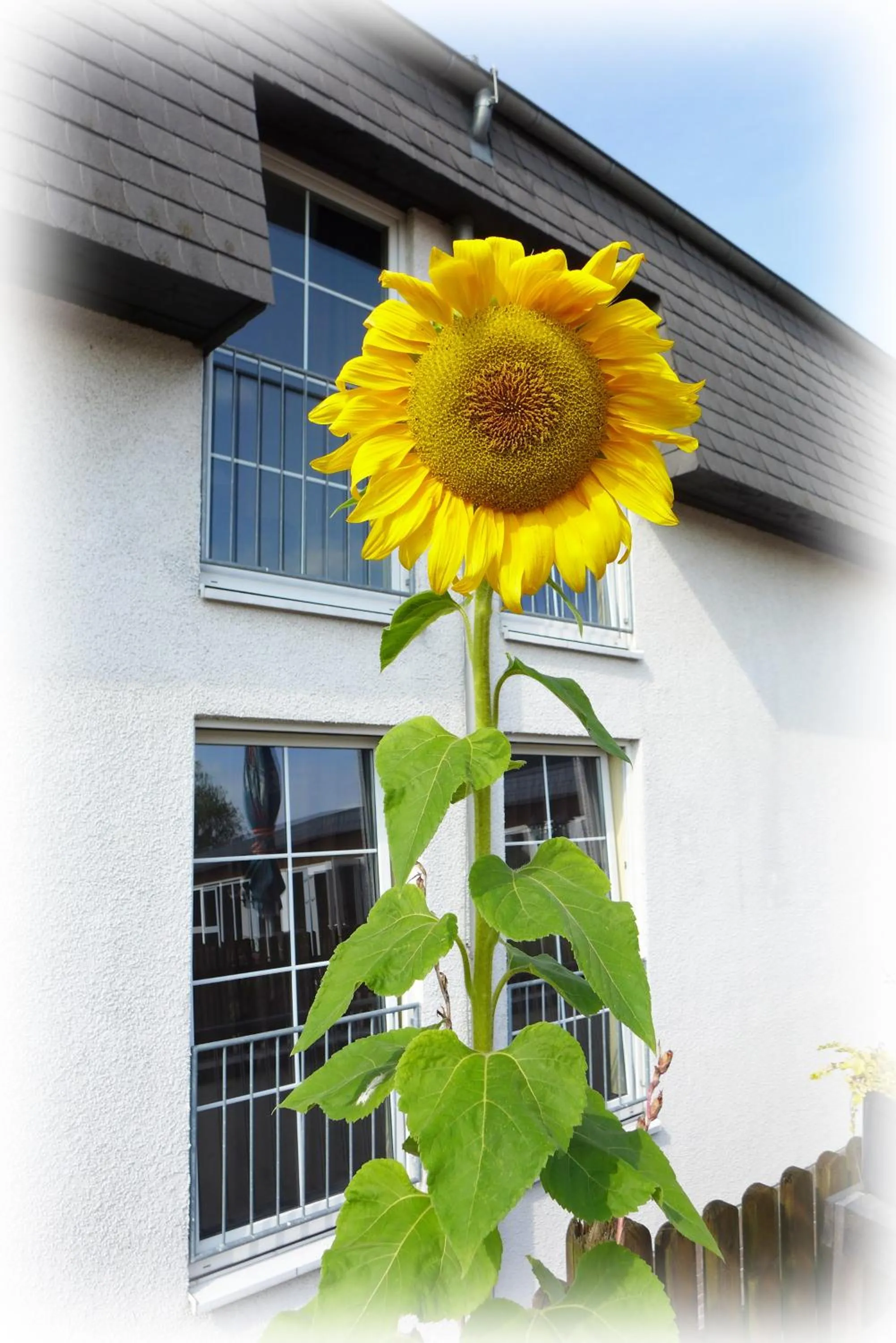 Hotel Lindenberger Hof