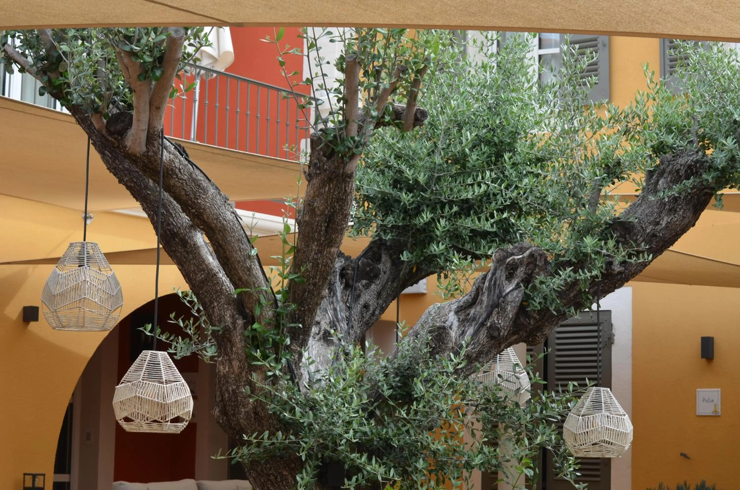 Breakfast in Le Mouillage