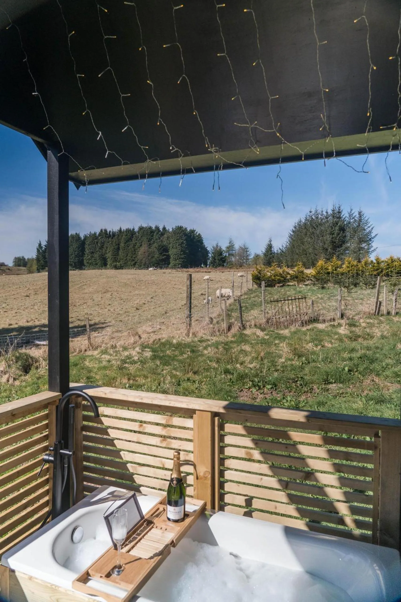 Other in The Trossachs Collection