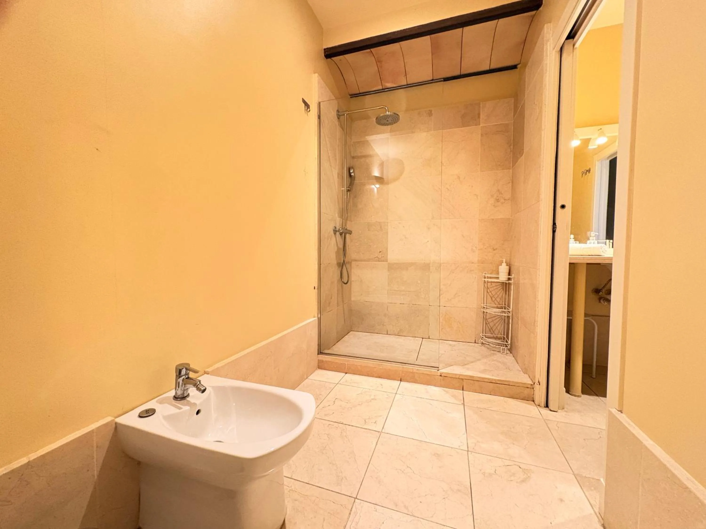 Toilet in Life Apartments San Vicente