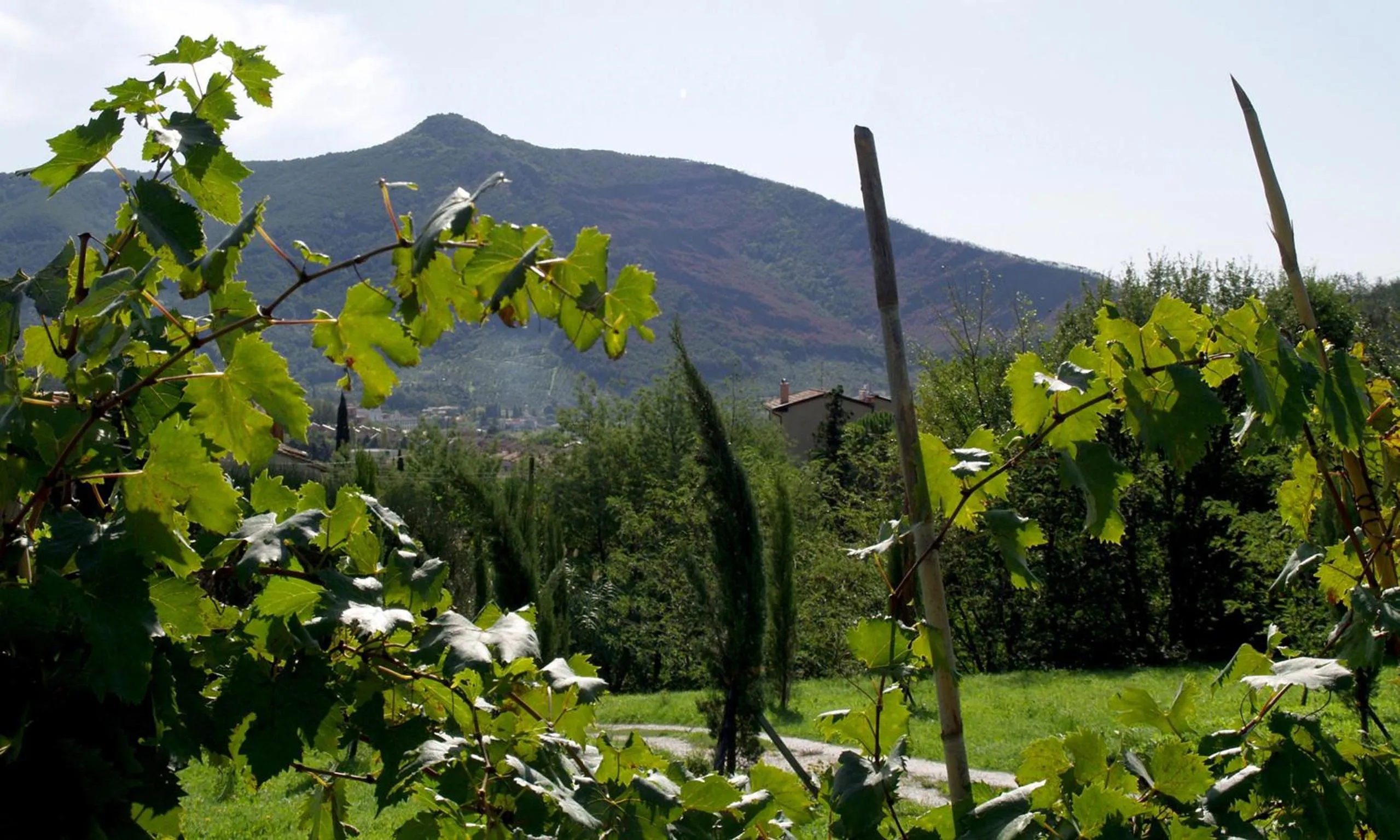 Natural landscape in Al Palazzaccio