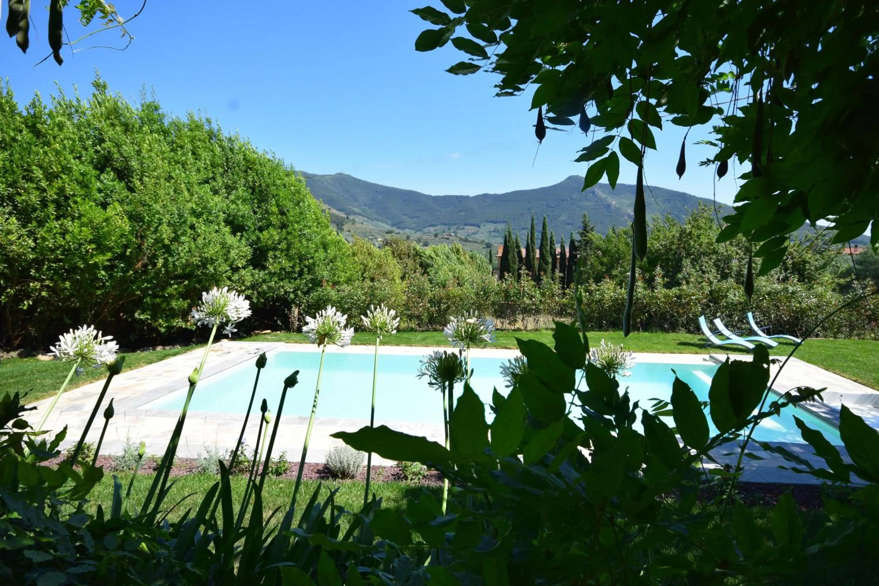 Swimming pool in Al Palazzaccio