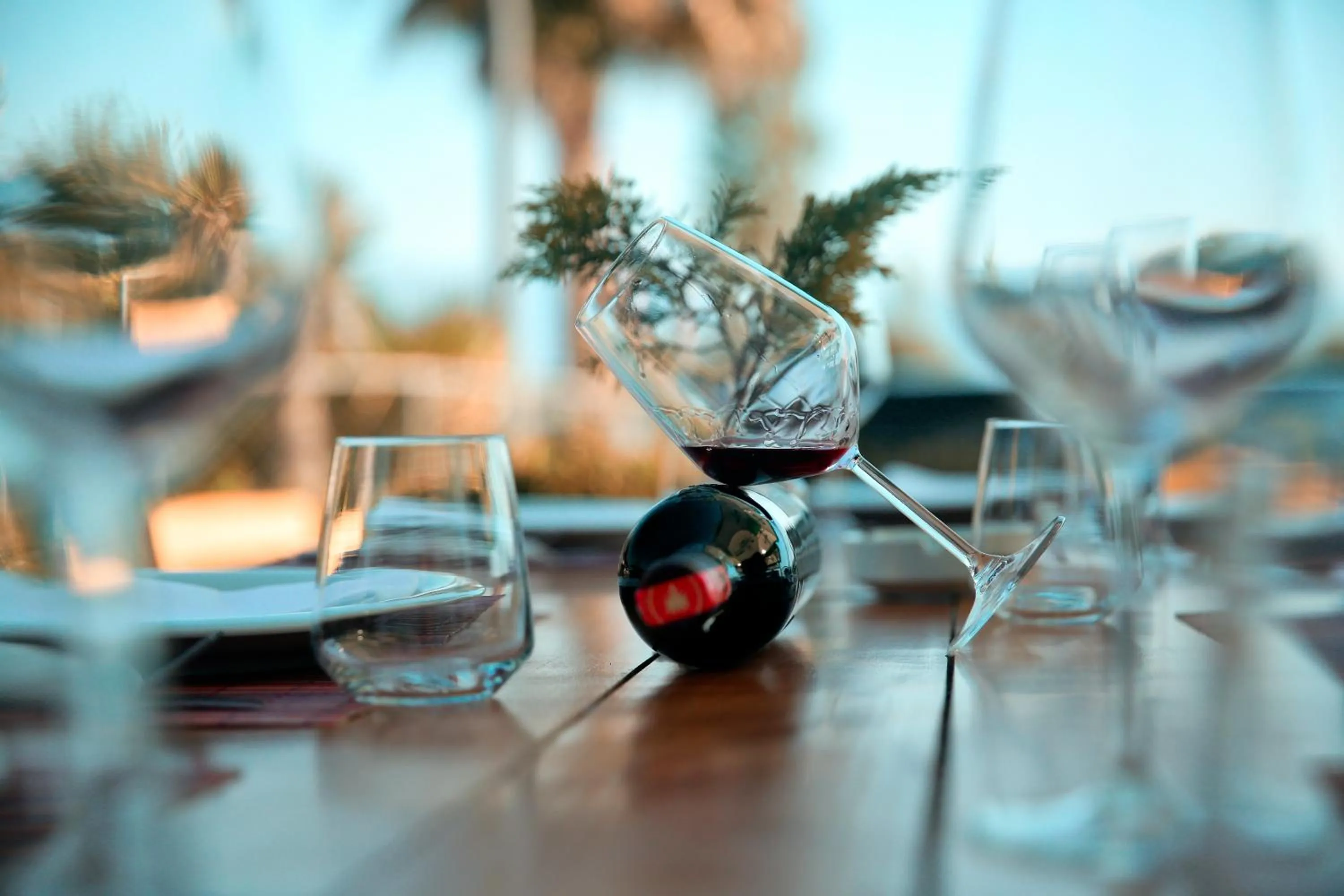 Food and drinks in Kraal Hotel Vlore