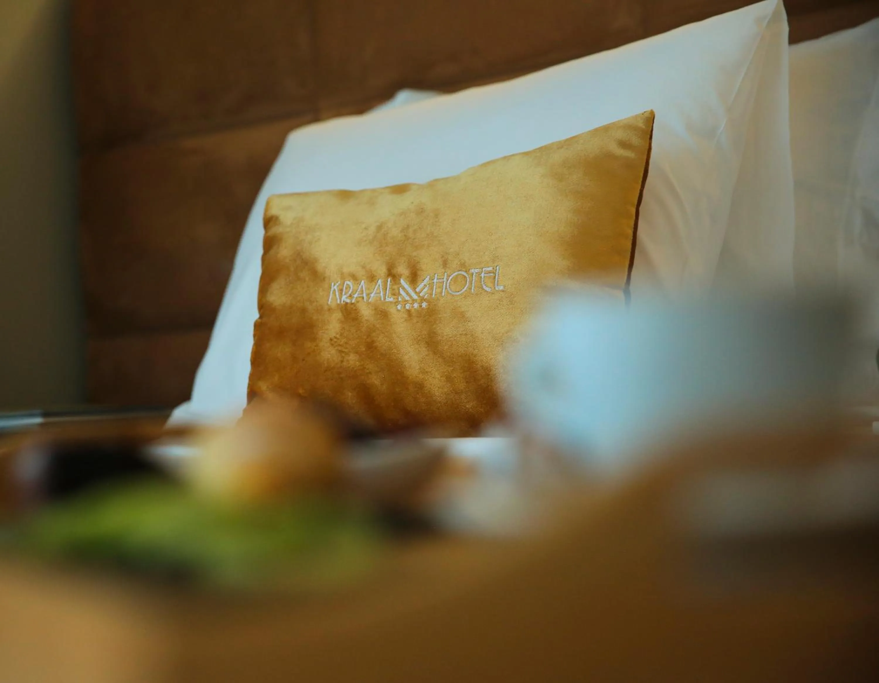 Property logo or sign in Kraal Hotel Vlore