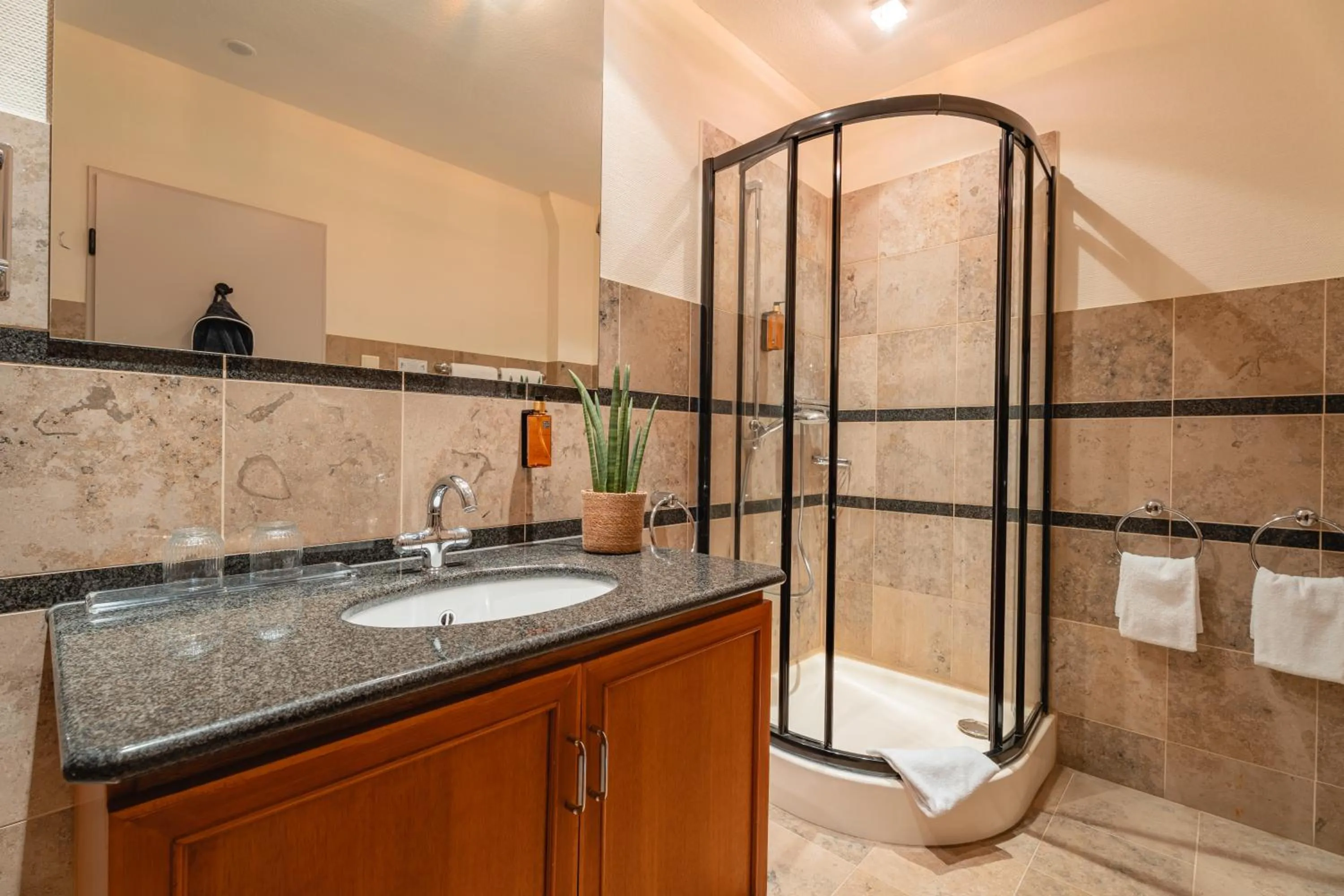 Bathroom in Naturhotel Sachsenbaude Oberwiesenthal - Indoor-Pool & Outdoor-Whirlpool