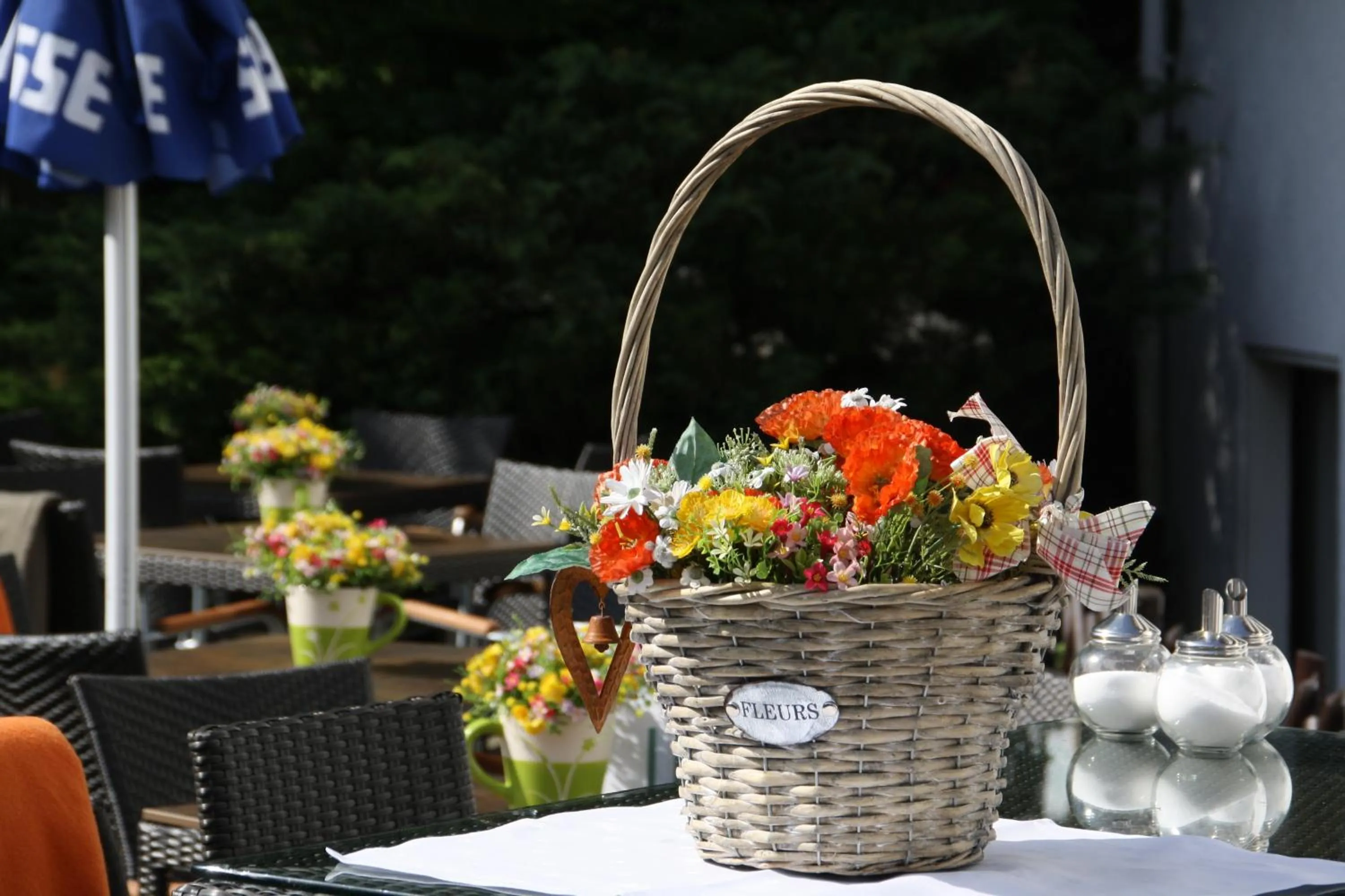 Garden in Solehotel Winterberg