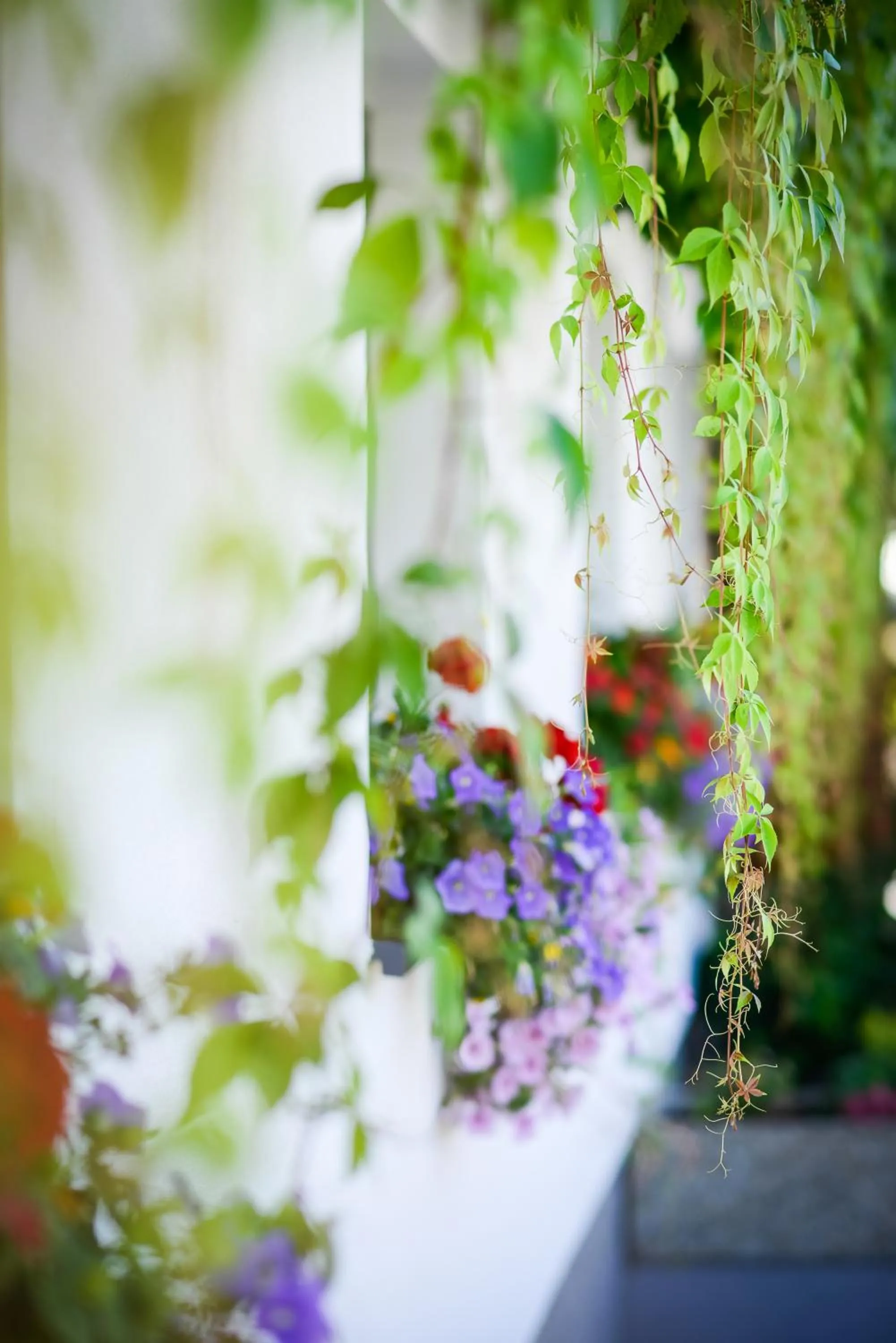 Other in Pension Pinzgauer Hof