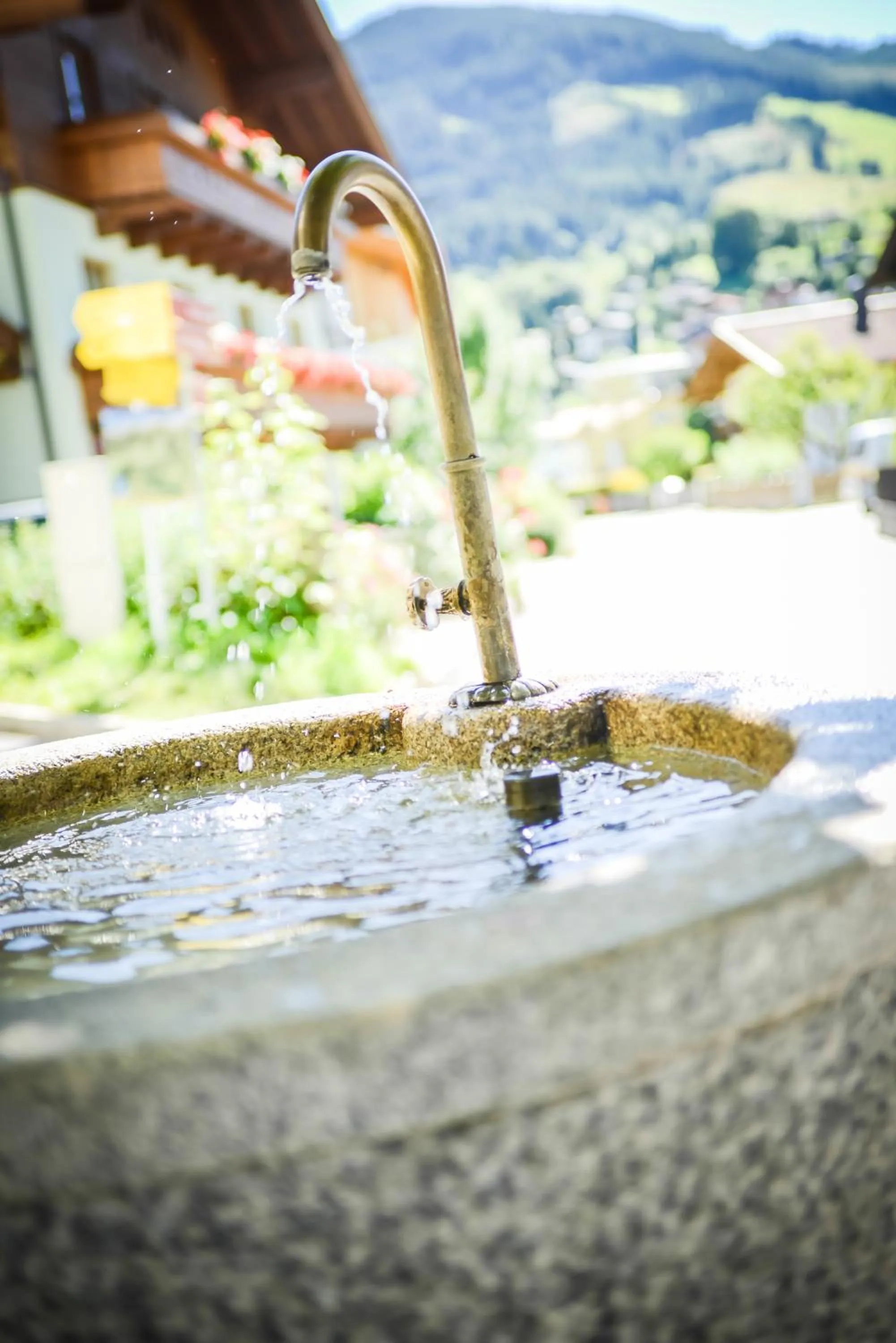 Area and facilities in Pension Pinzgauer Hof