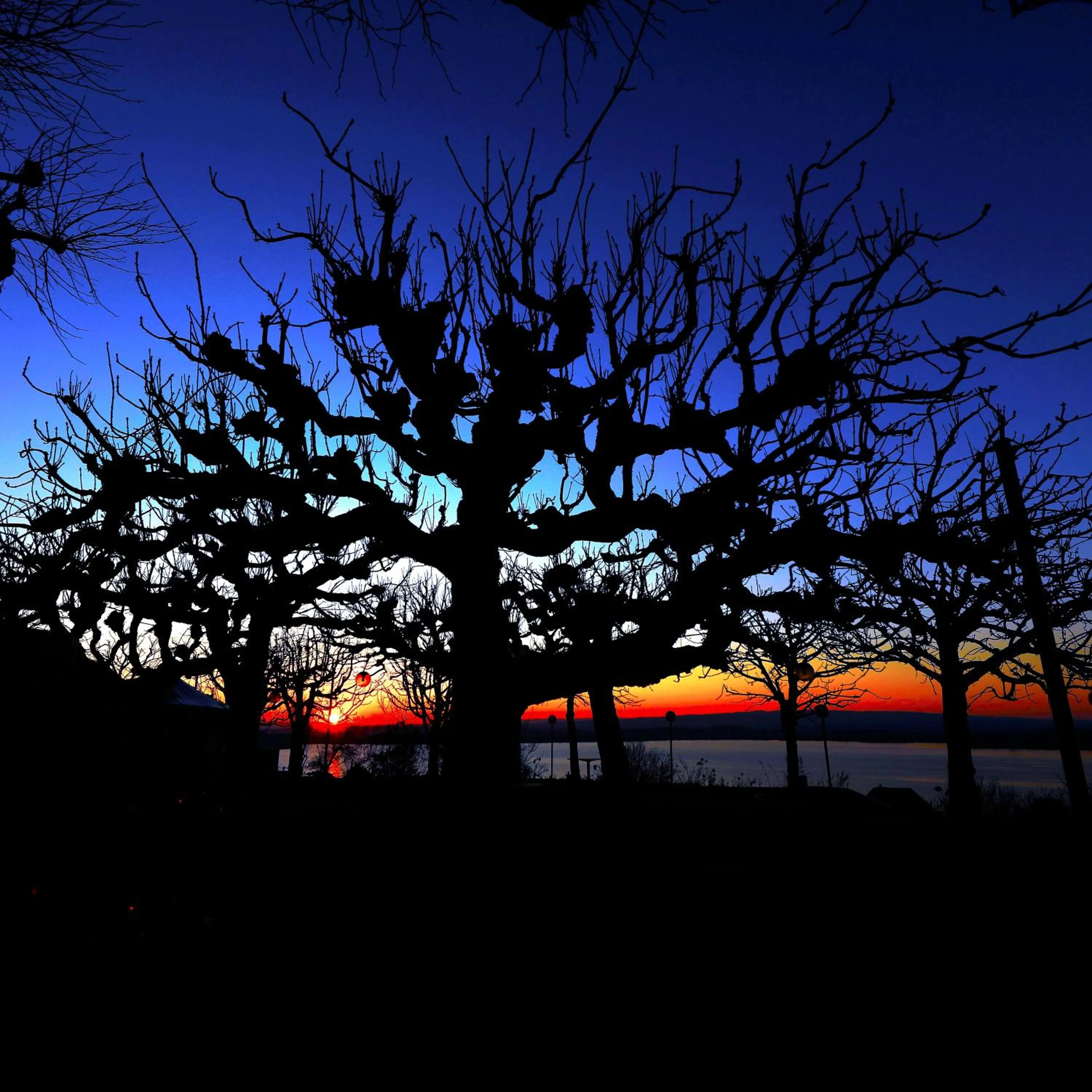 Natural landscape in Guggital Hotel Restaurant