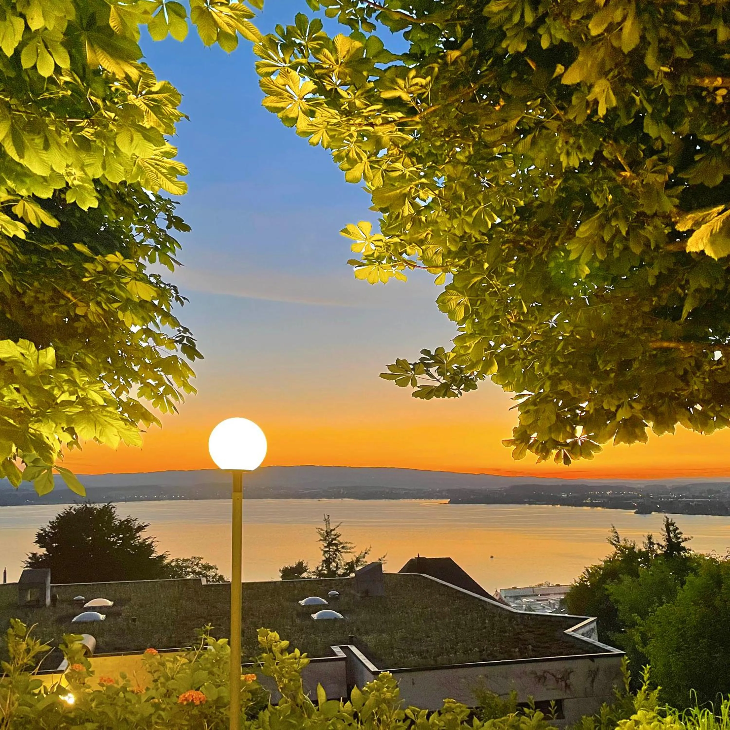 View (from property/room) in Guggital Hotel Restaurant