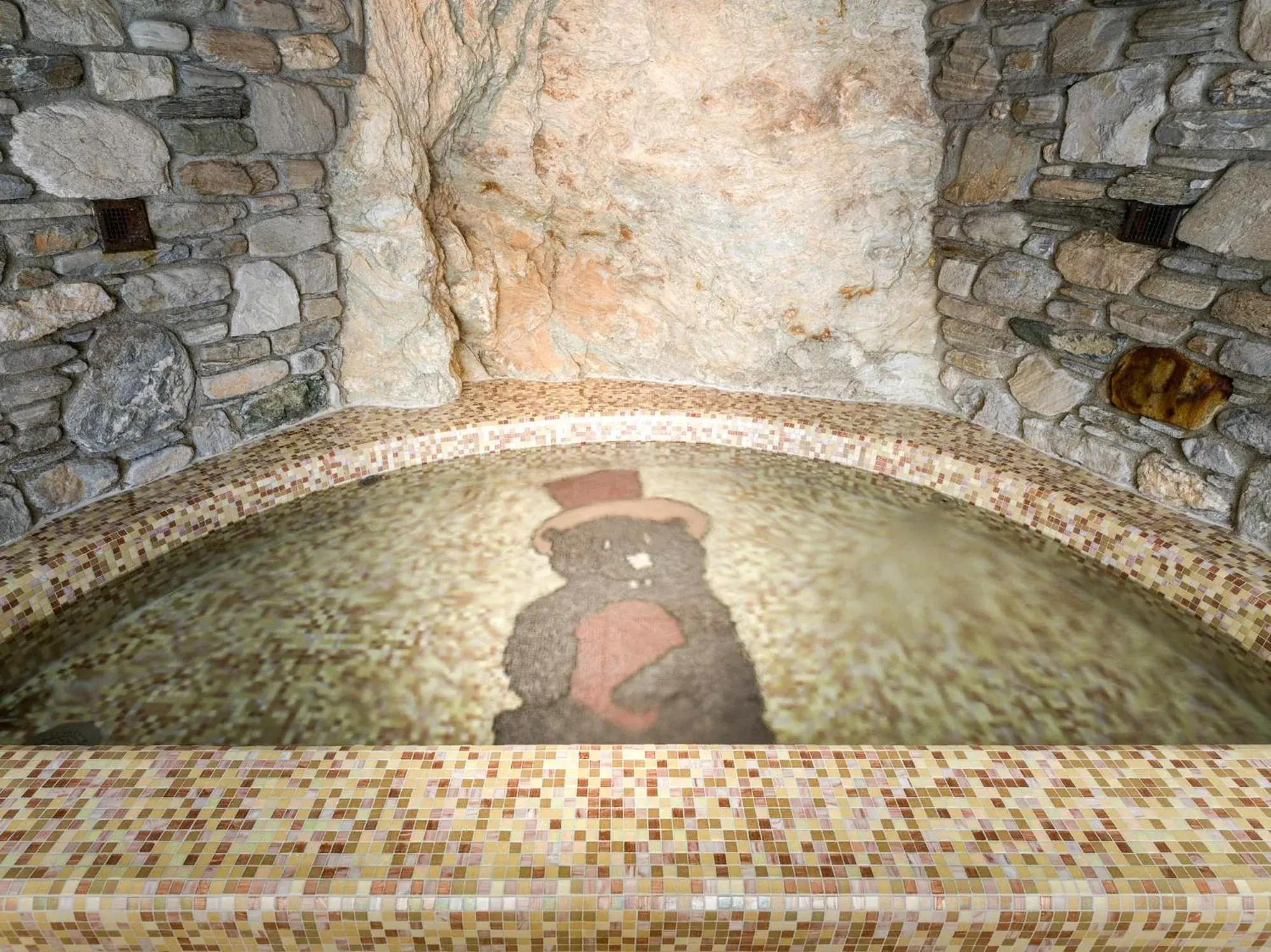 Spa and wellness centre/facilities in Hotel Goldried Spa and wellness centre/facilities in Hotel Goldried