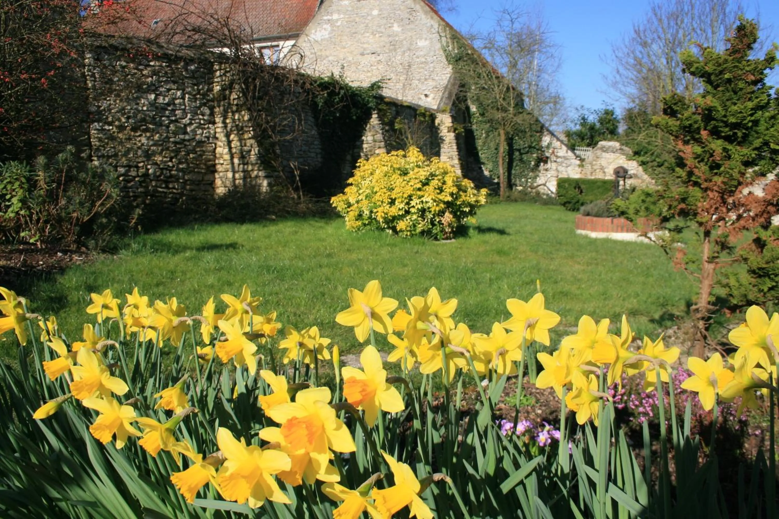 Garden in Au Relais de Chaussy