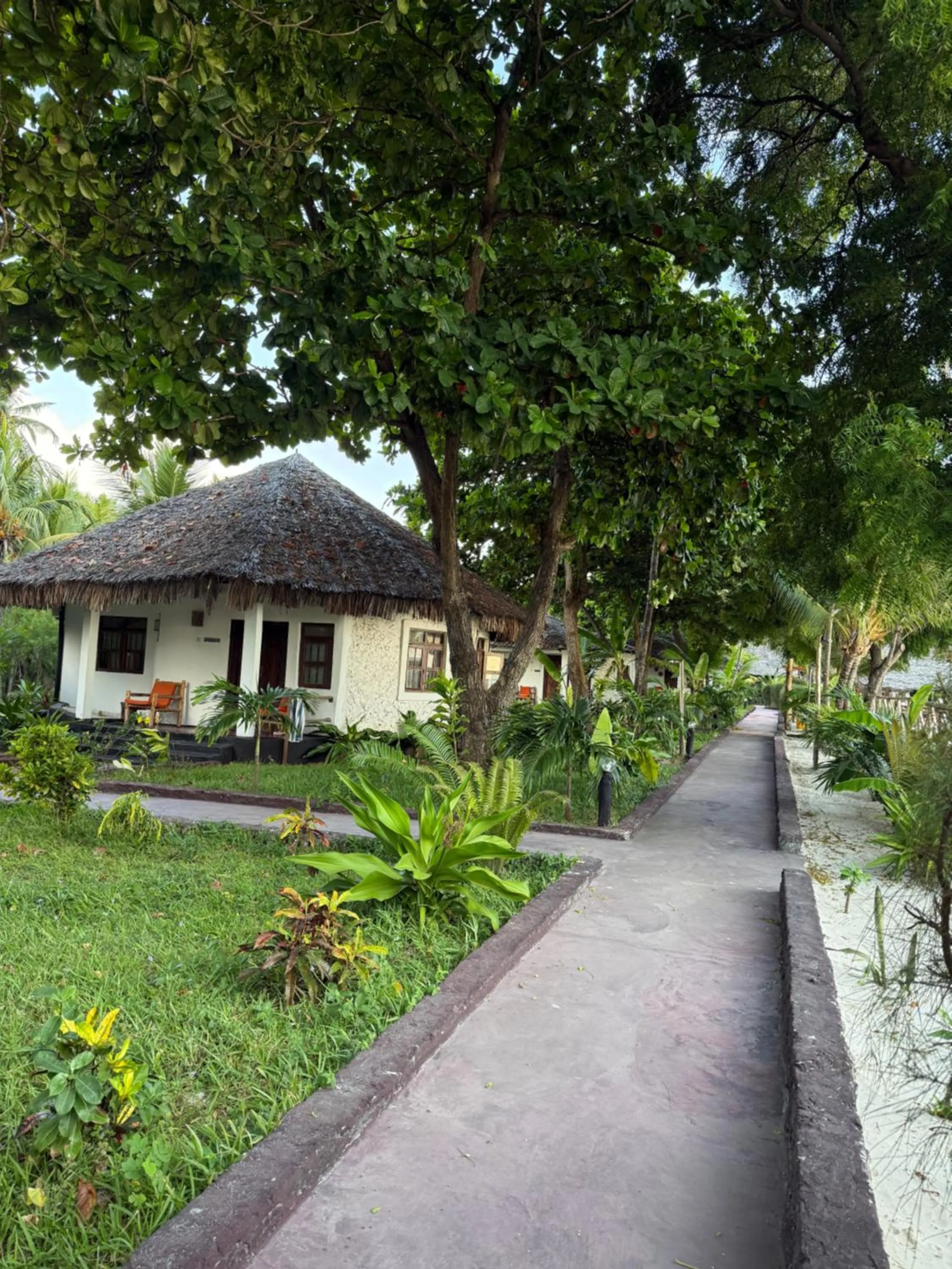Natural landscape in TIKI Beach Club & Resort