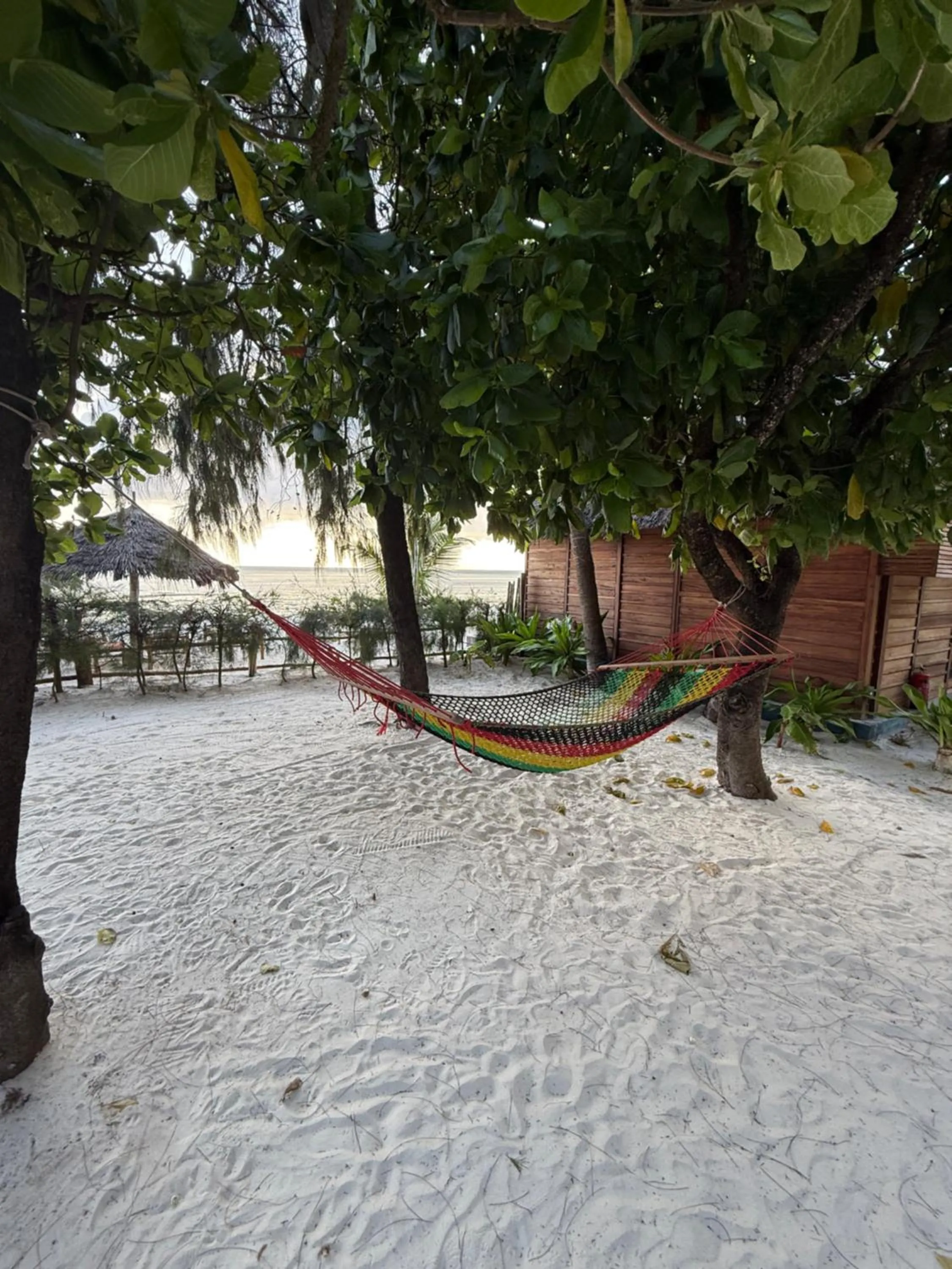 Spring in TIKI Beach Club & Resort