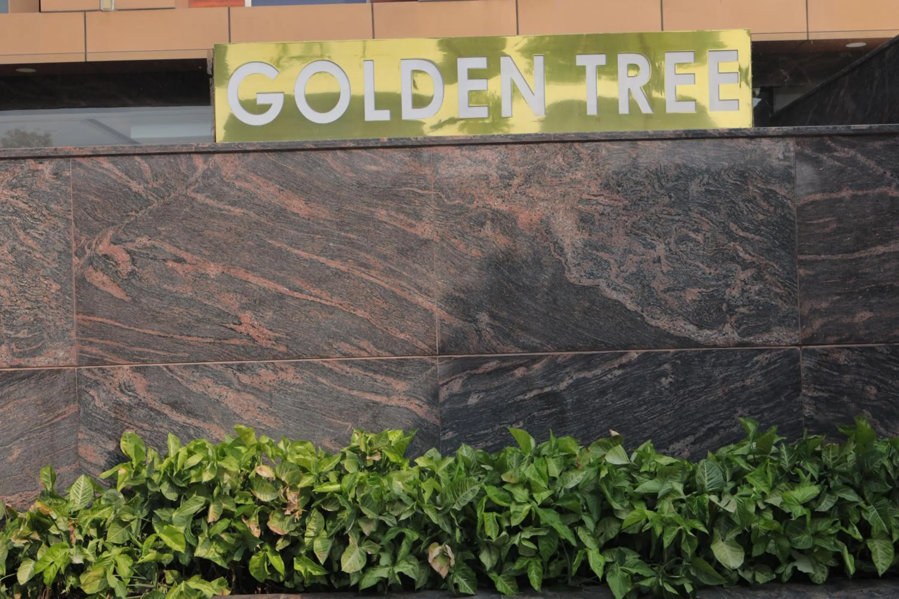 Property building in GOLDEN TREE