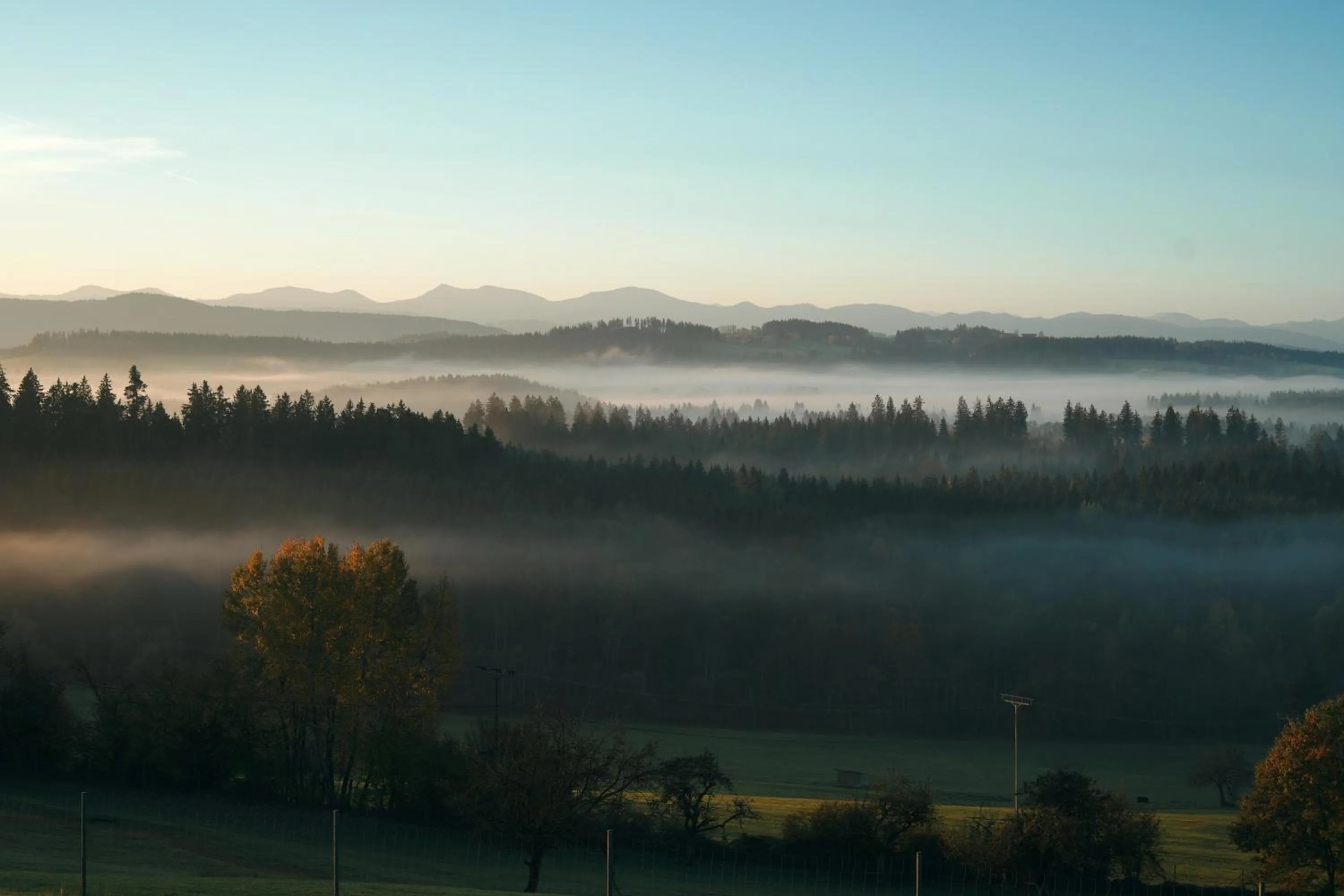 Natural landscape in Berghotel Jägerhof ****S