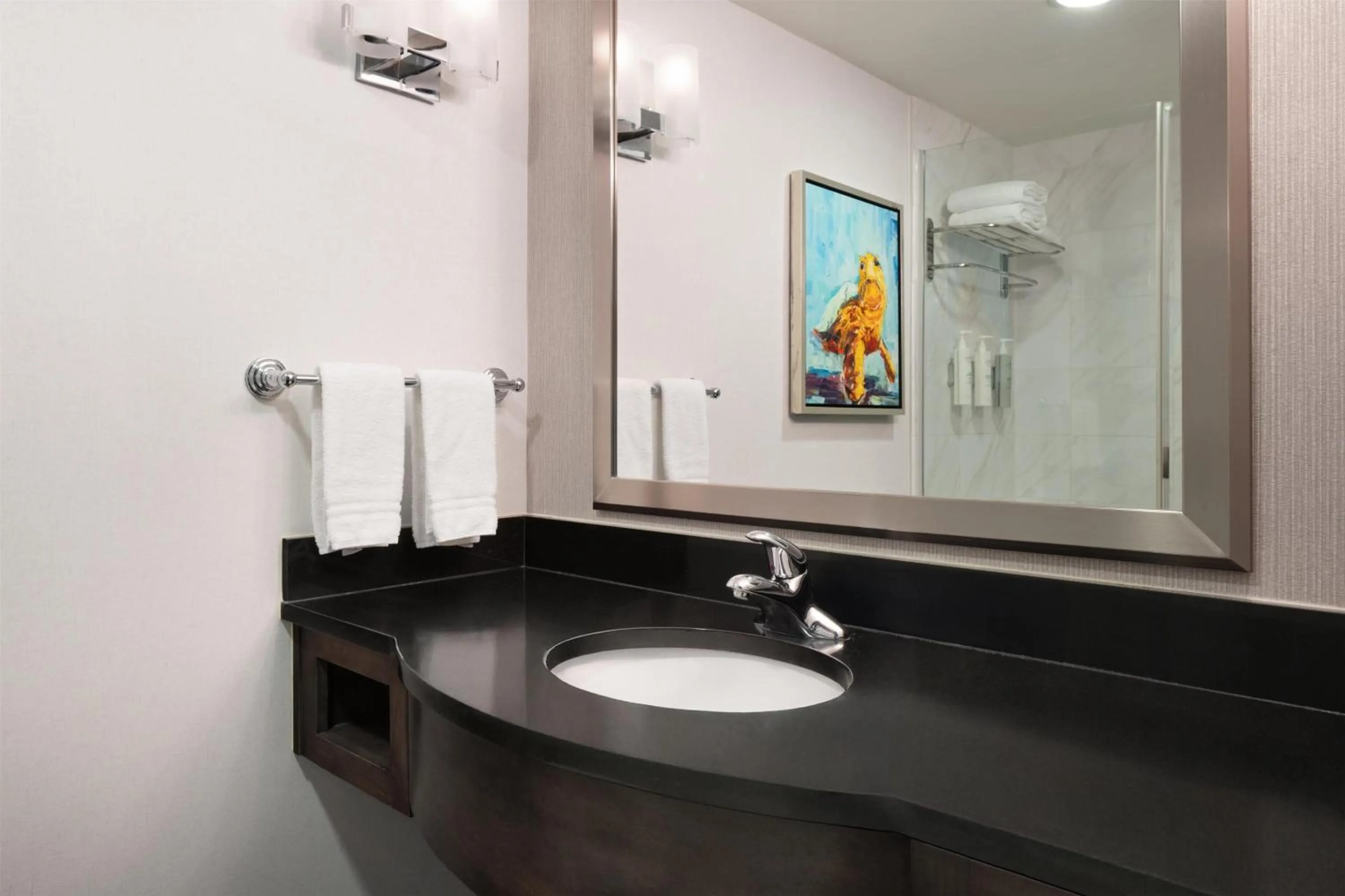 Bathroom in Hilton Garden Inn Charleston Waterfront/Downtown