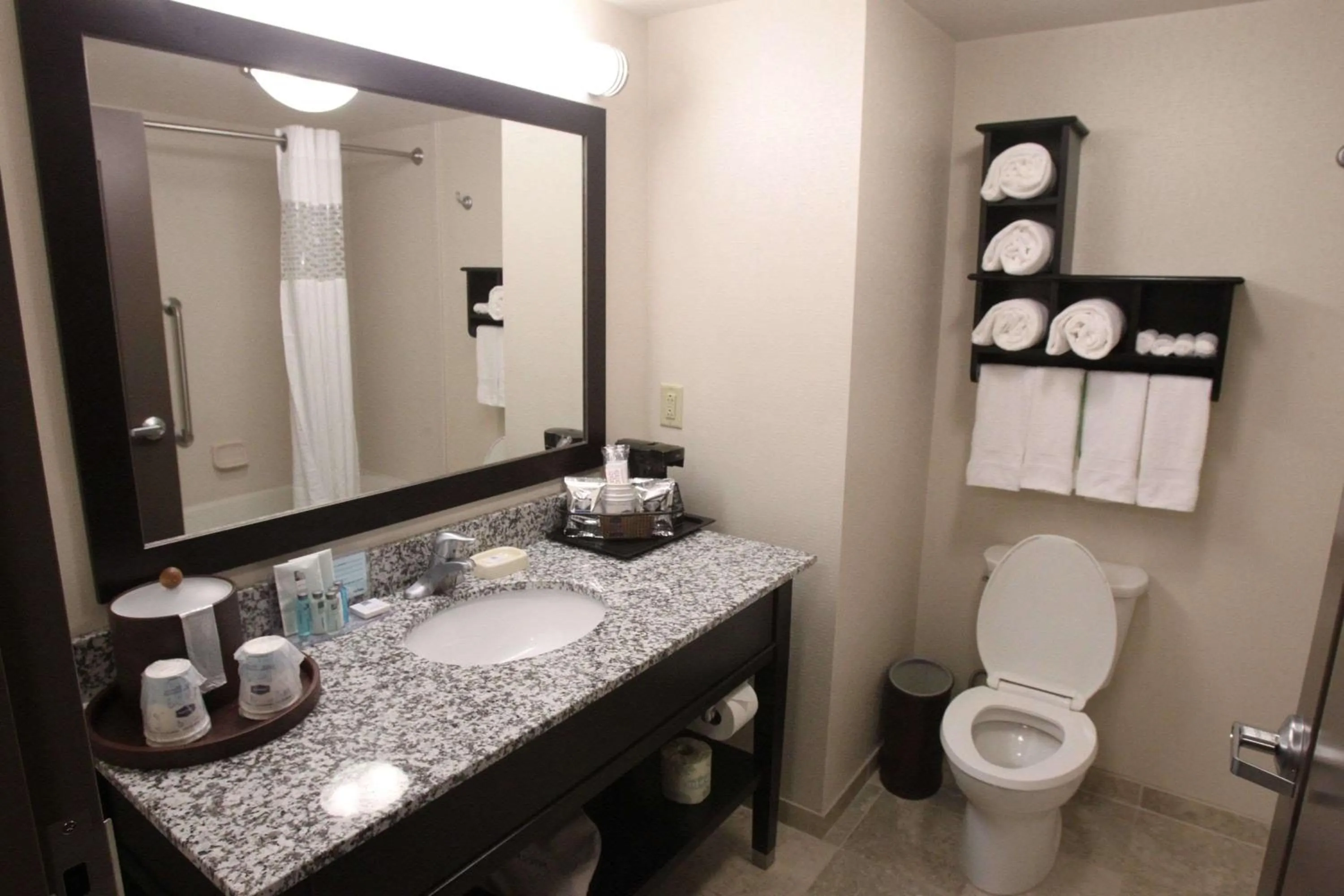 Bathroom in Hampton Inn & Suites Seneca-Clemson Area