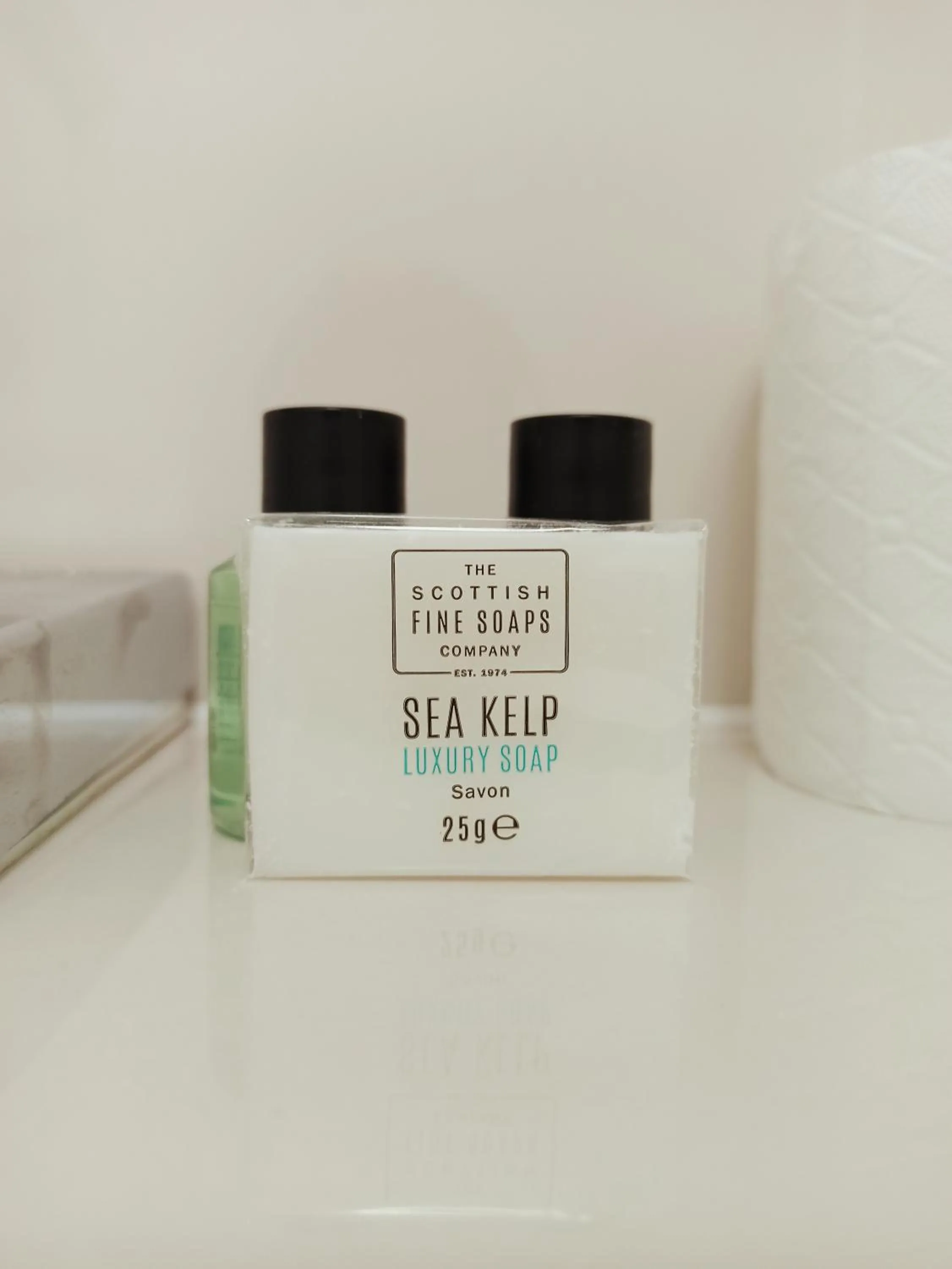 Anchor Hotel and Seabed Restaurant