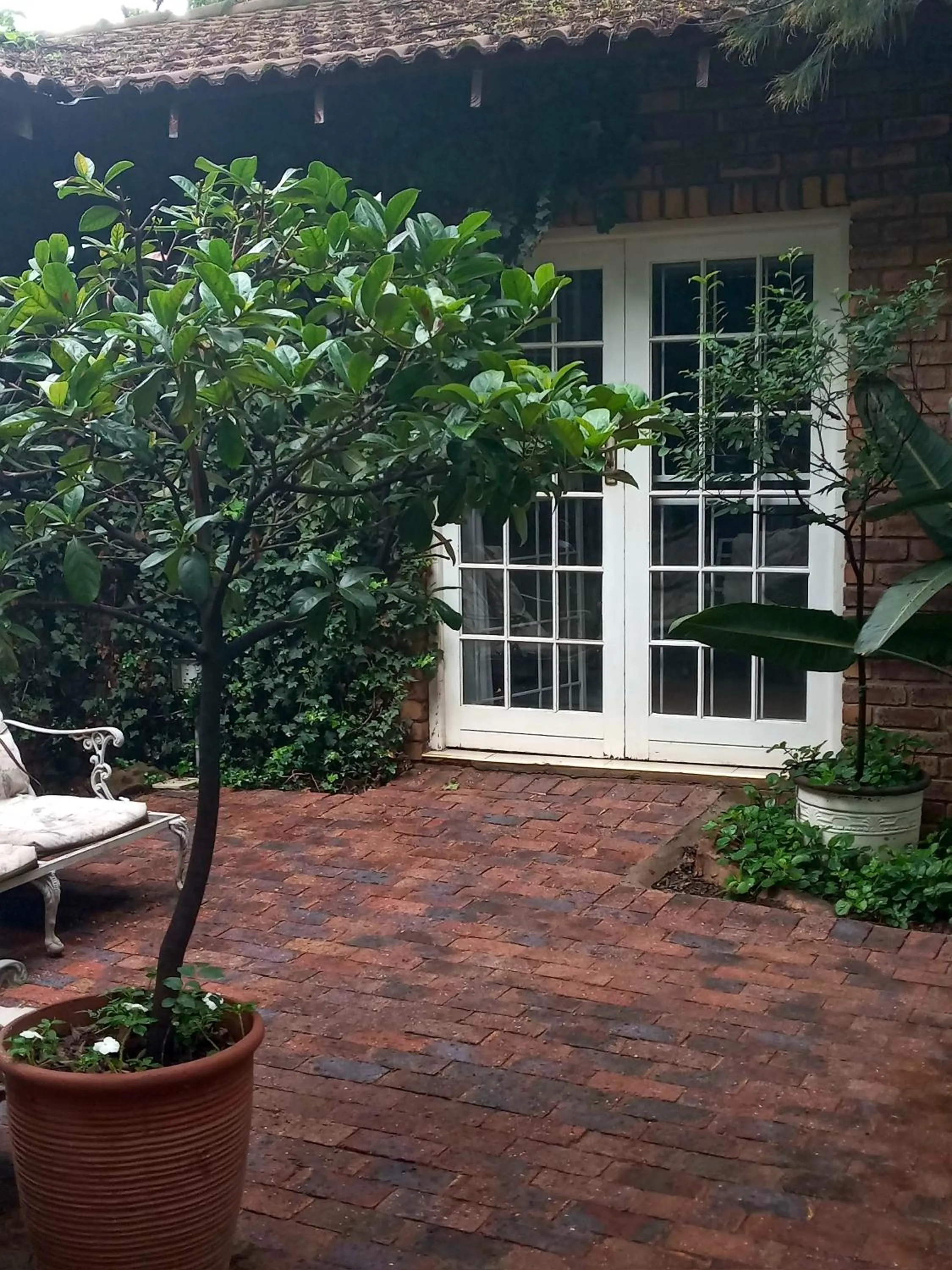 Emerald Guest House Springs