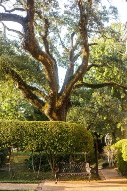 Anchuca Historic Mansion & Inn