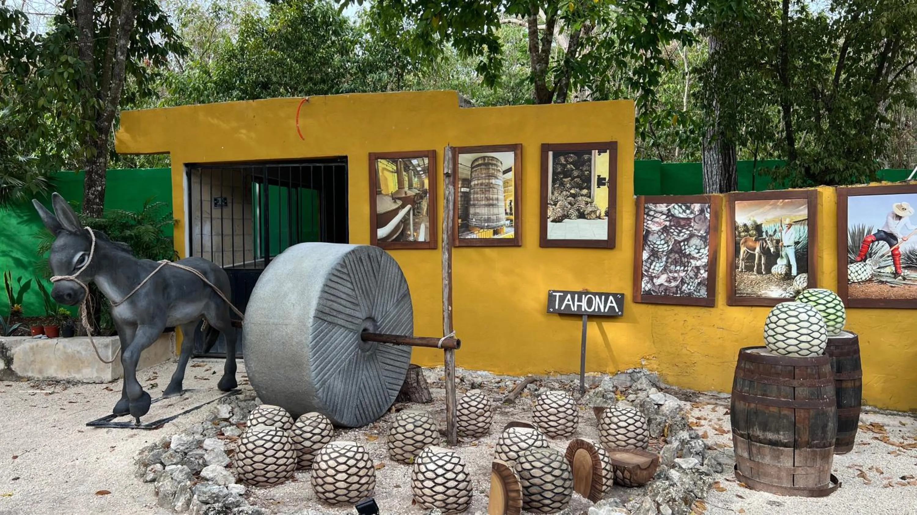 Hotel Tequila Cancun