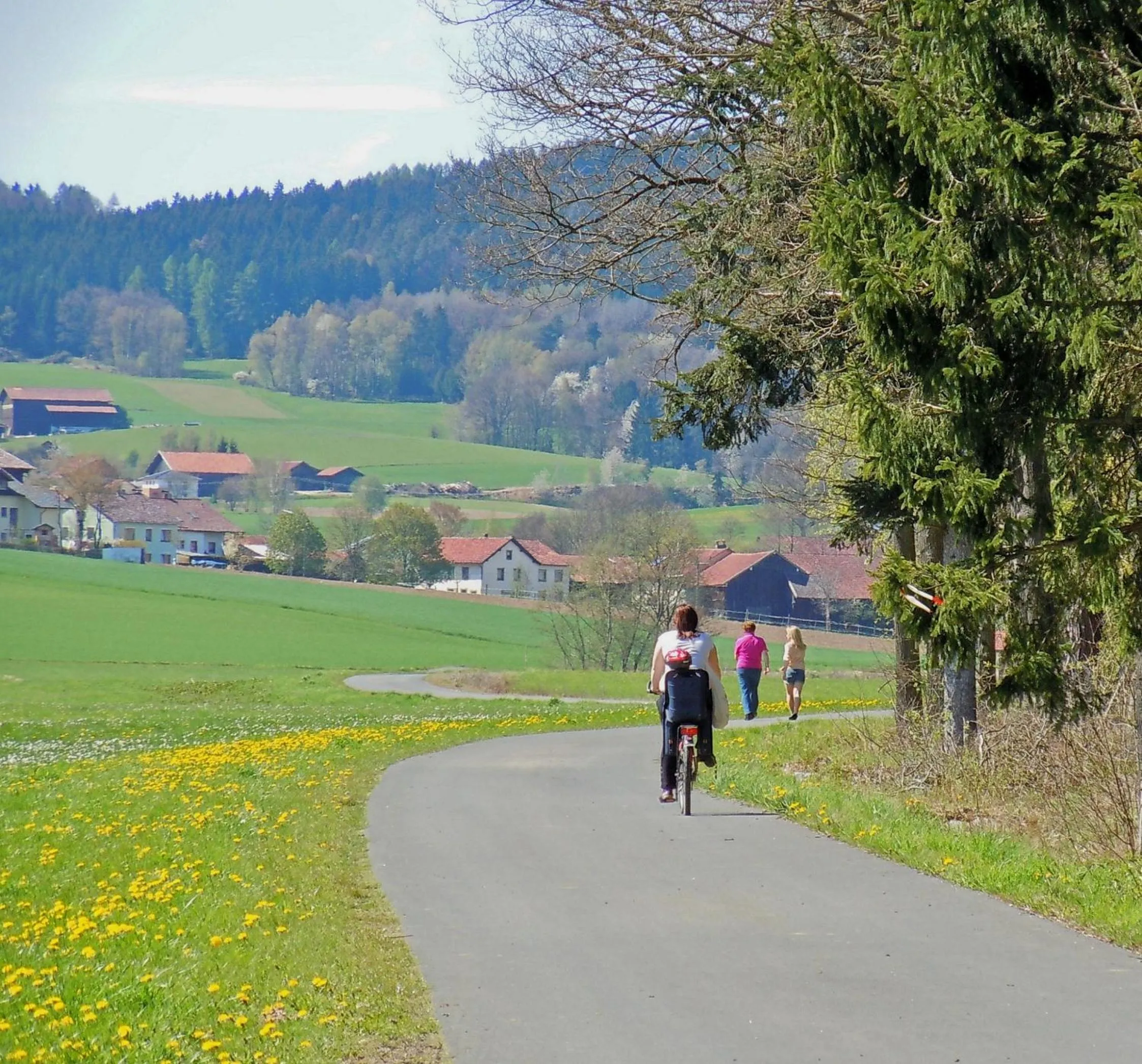 Hiking in Hotel Lugerhof