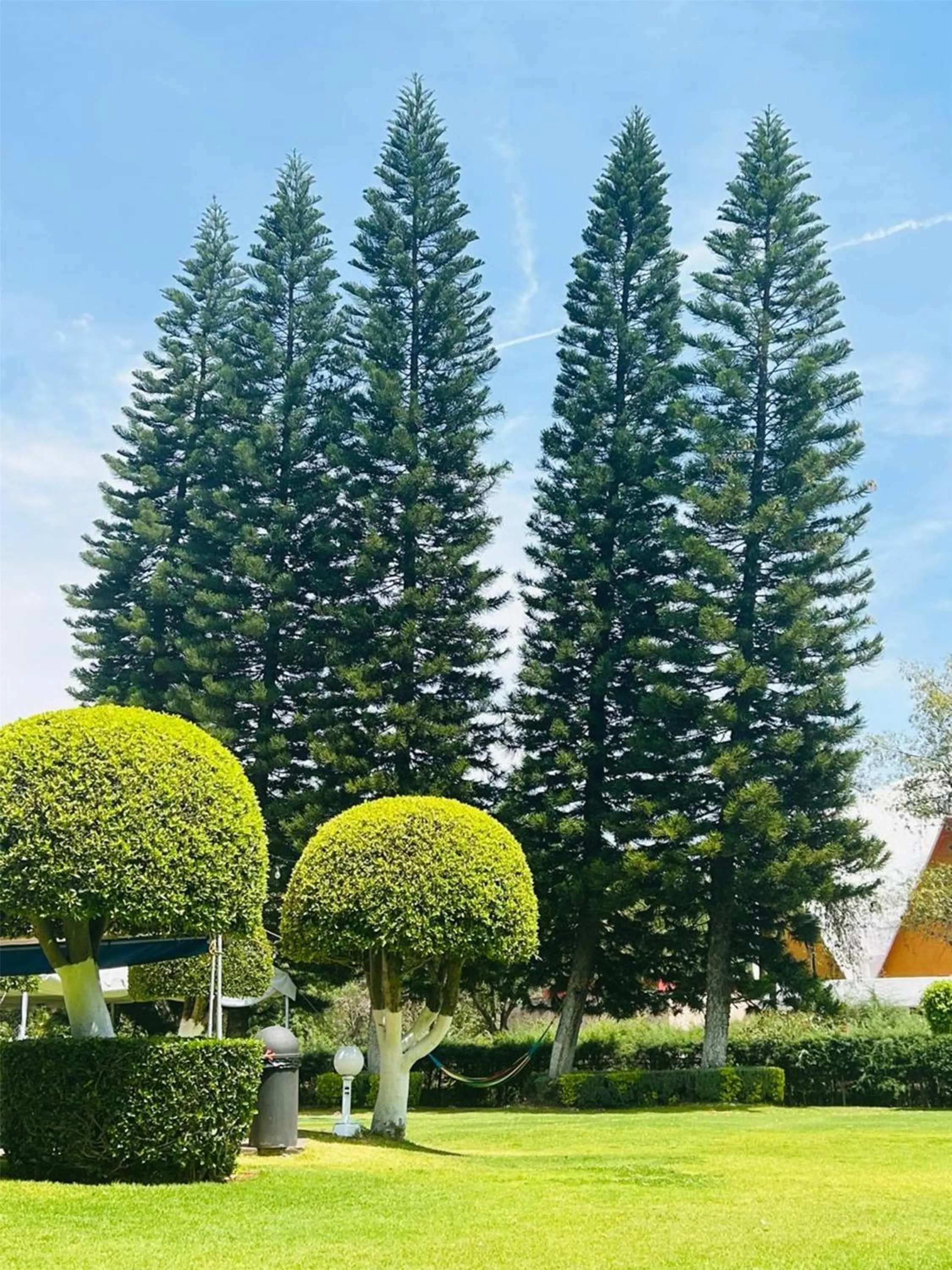 Property building in Grand Cantalagua Hotel Morelia, BW Signature Collection