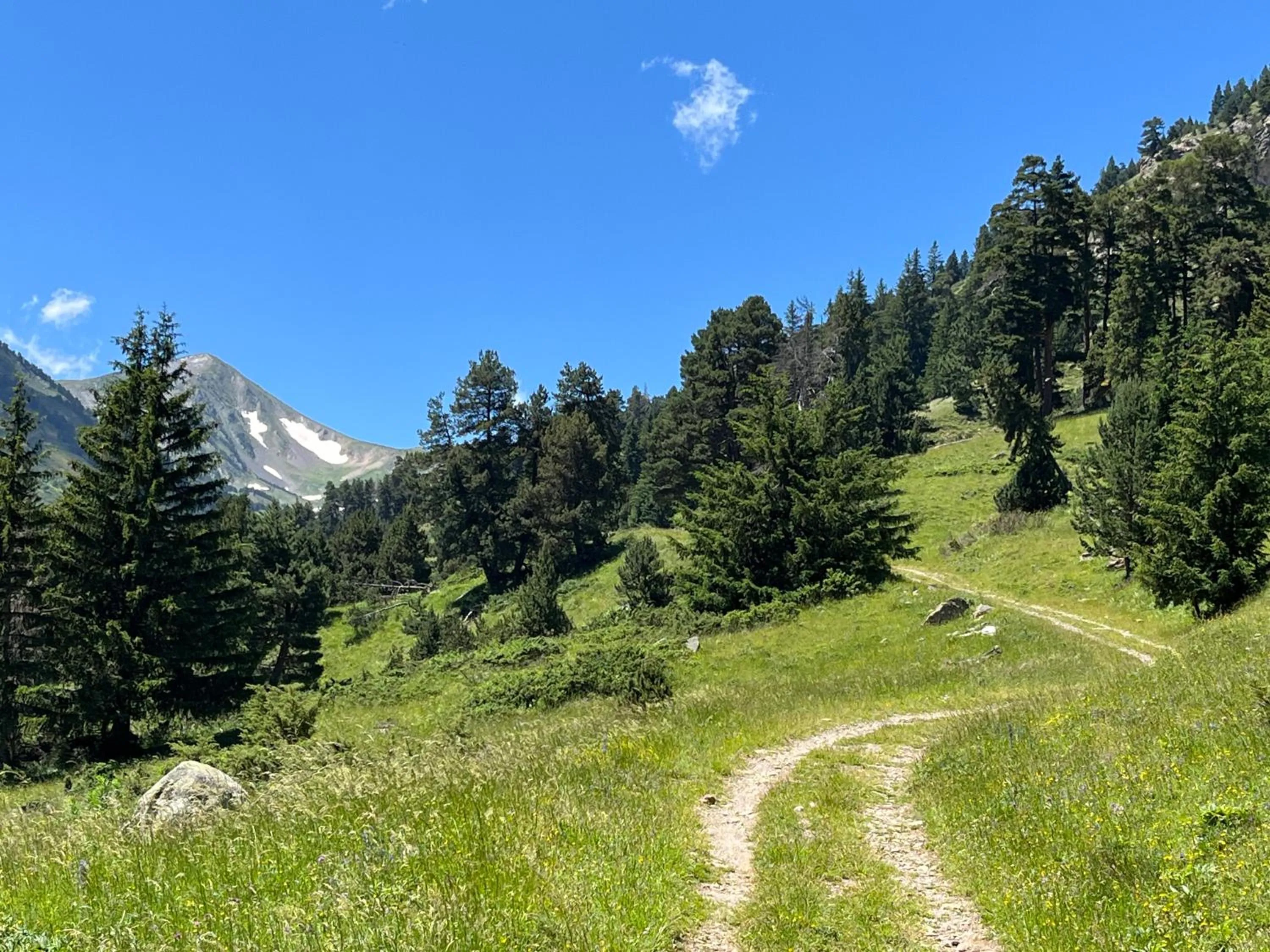 Hiking in Résidence Les Esplaneilles