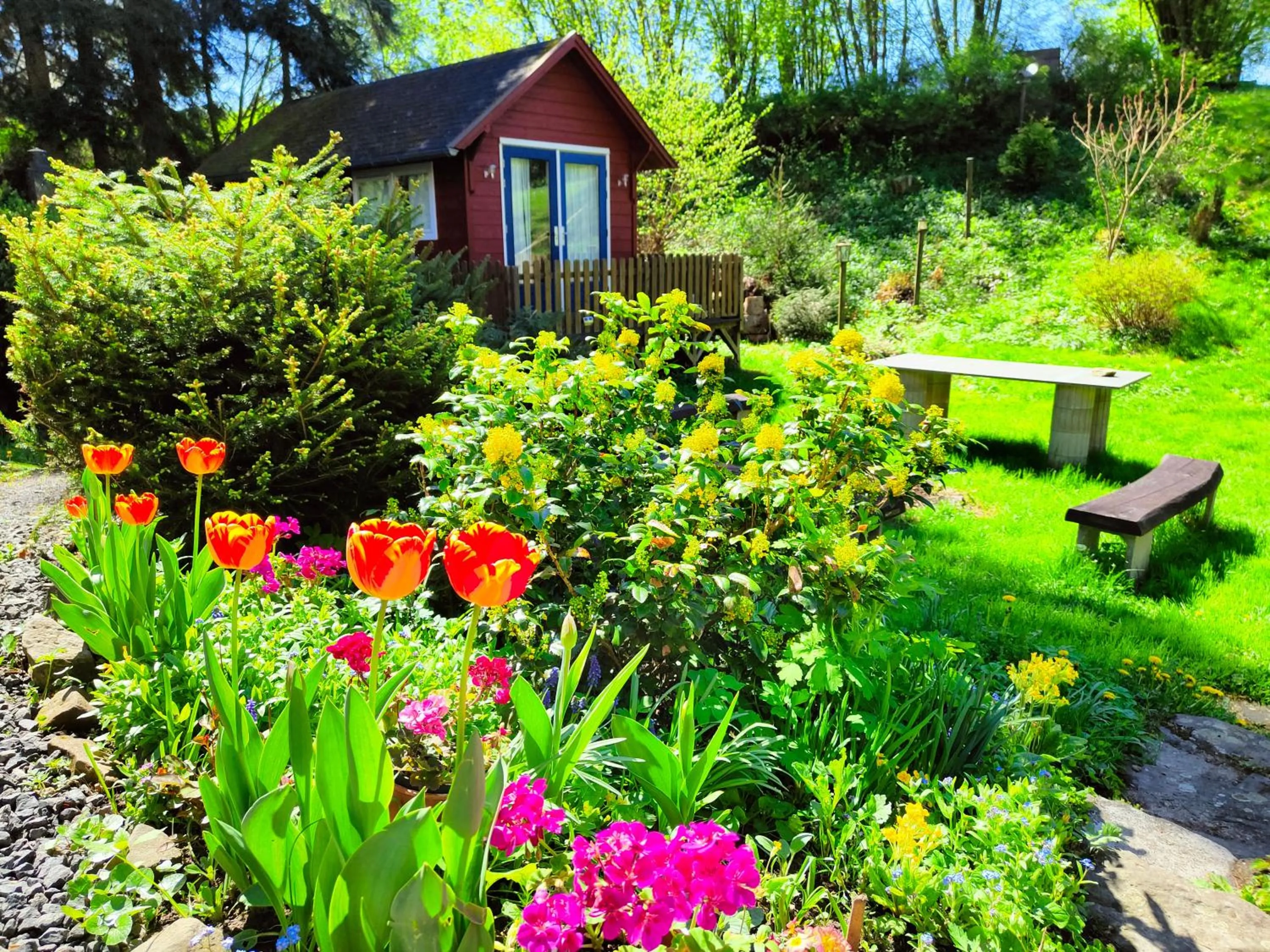 Bed and Breakfast Tvrz