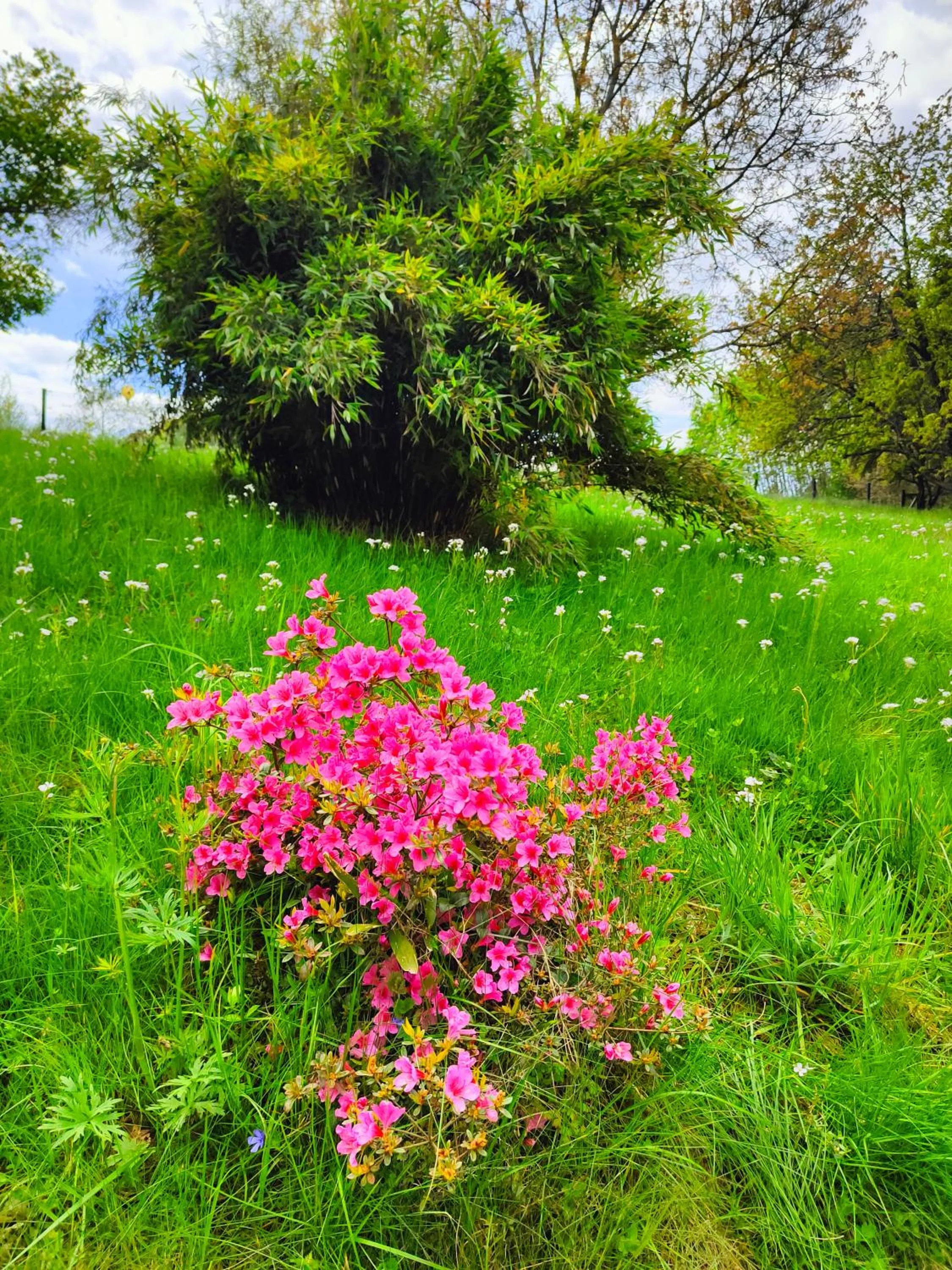 Bed and Breakfast Tvrz