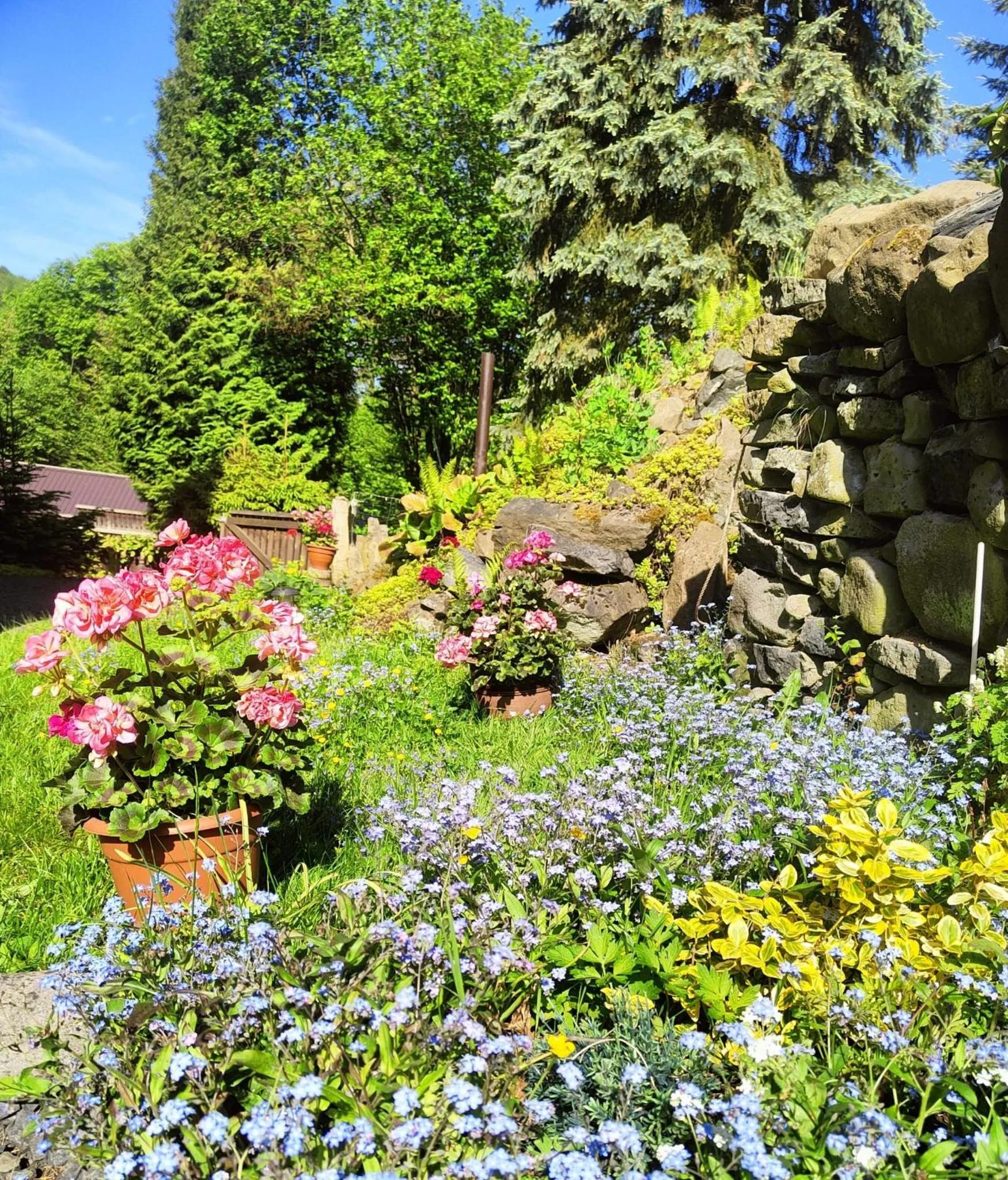 Spring in Bed and Breakfast Tvrz